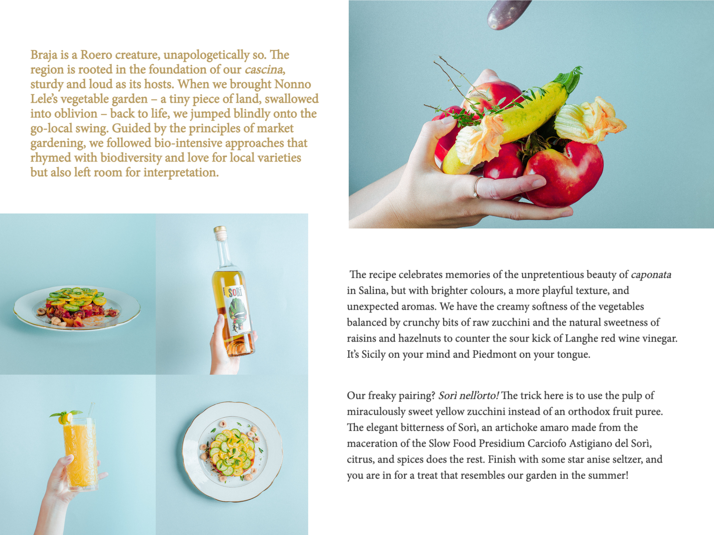 preview carousel.png