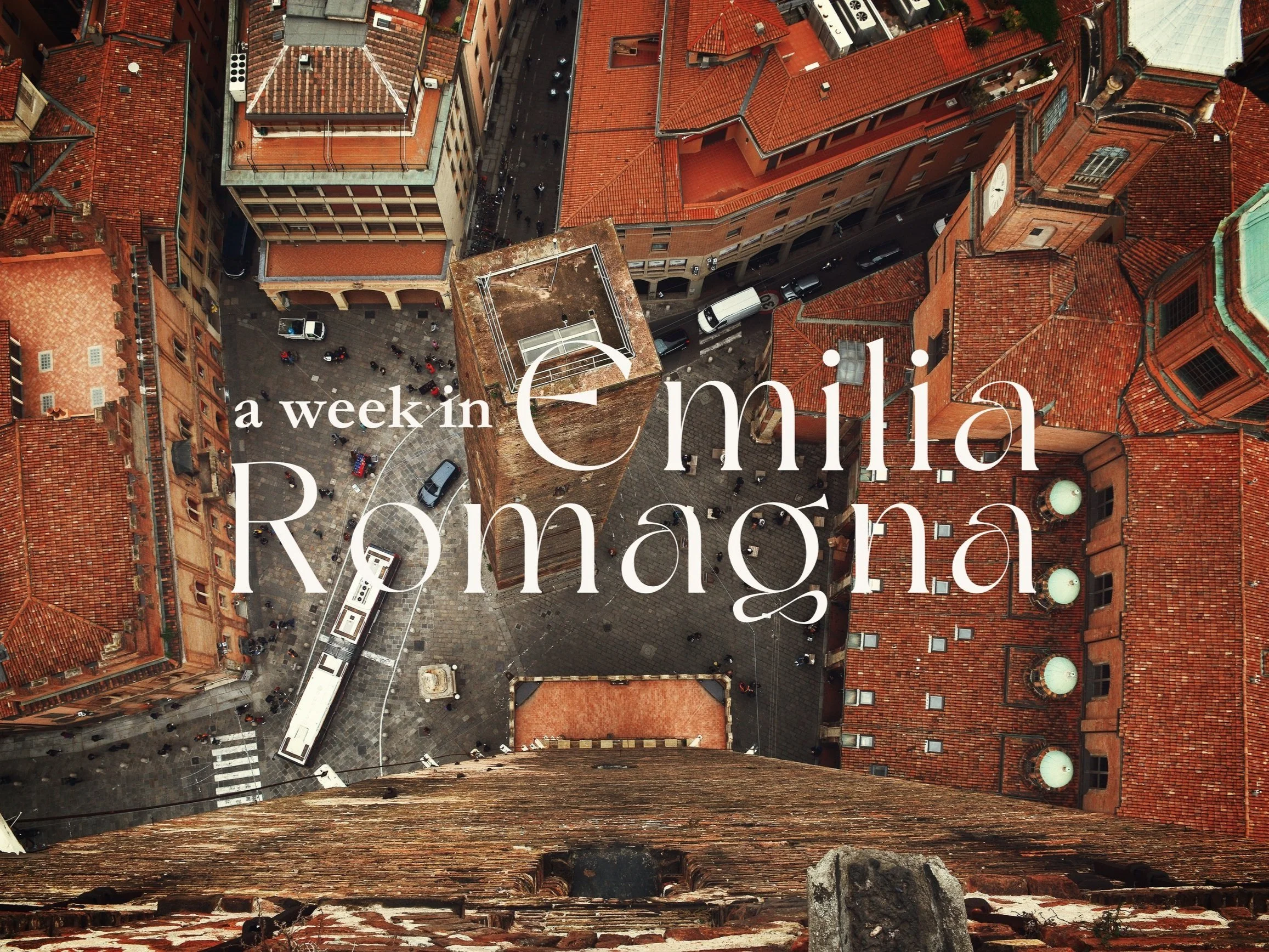 COPY samples (17).jpg