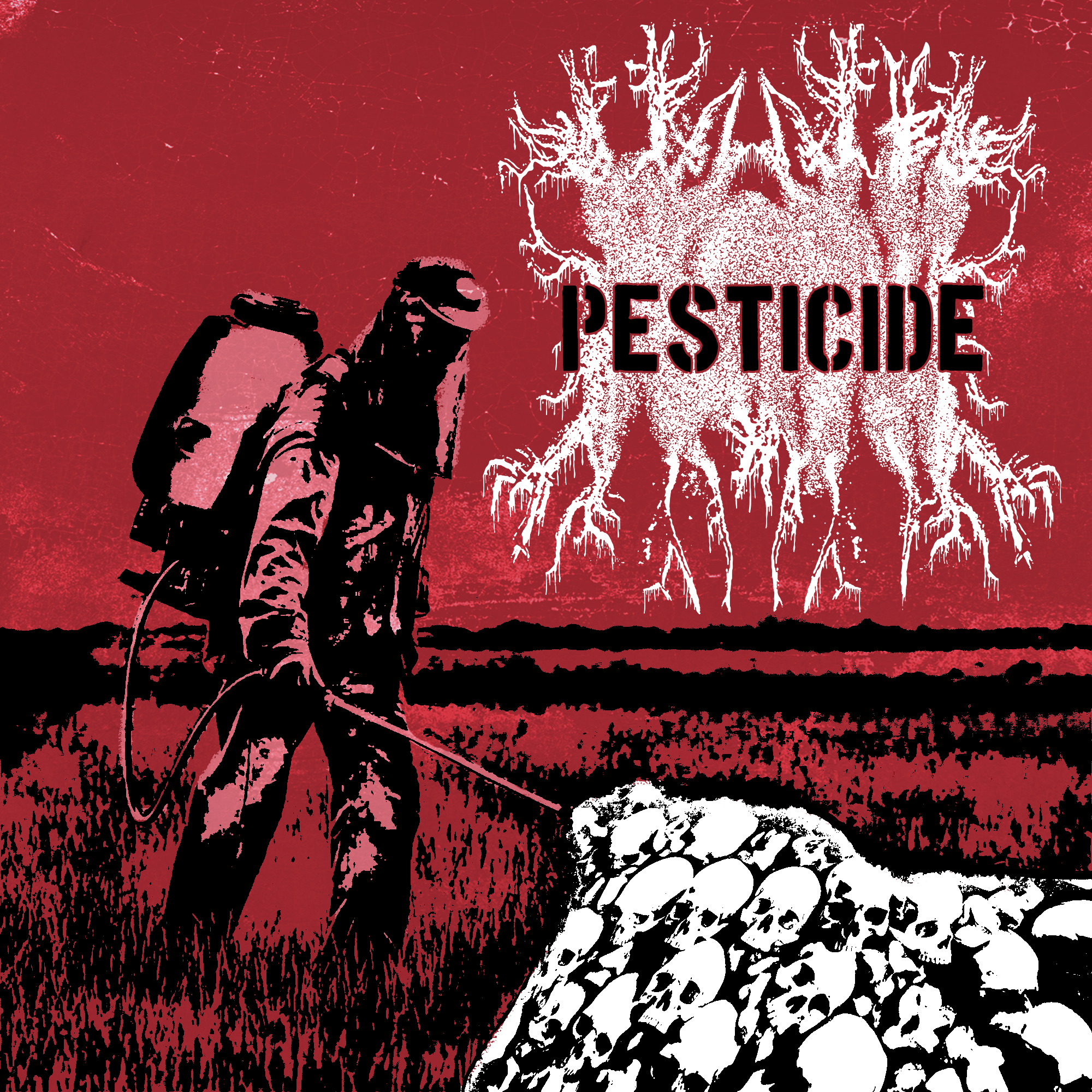 "Koni - Pesticide" albumi esikaas (kasutamata), 2025.