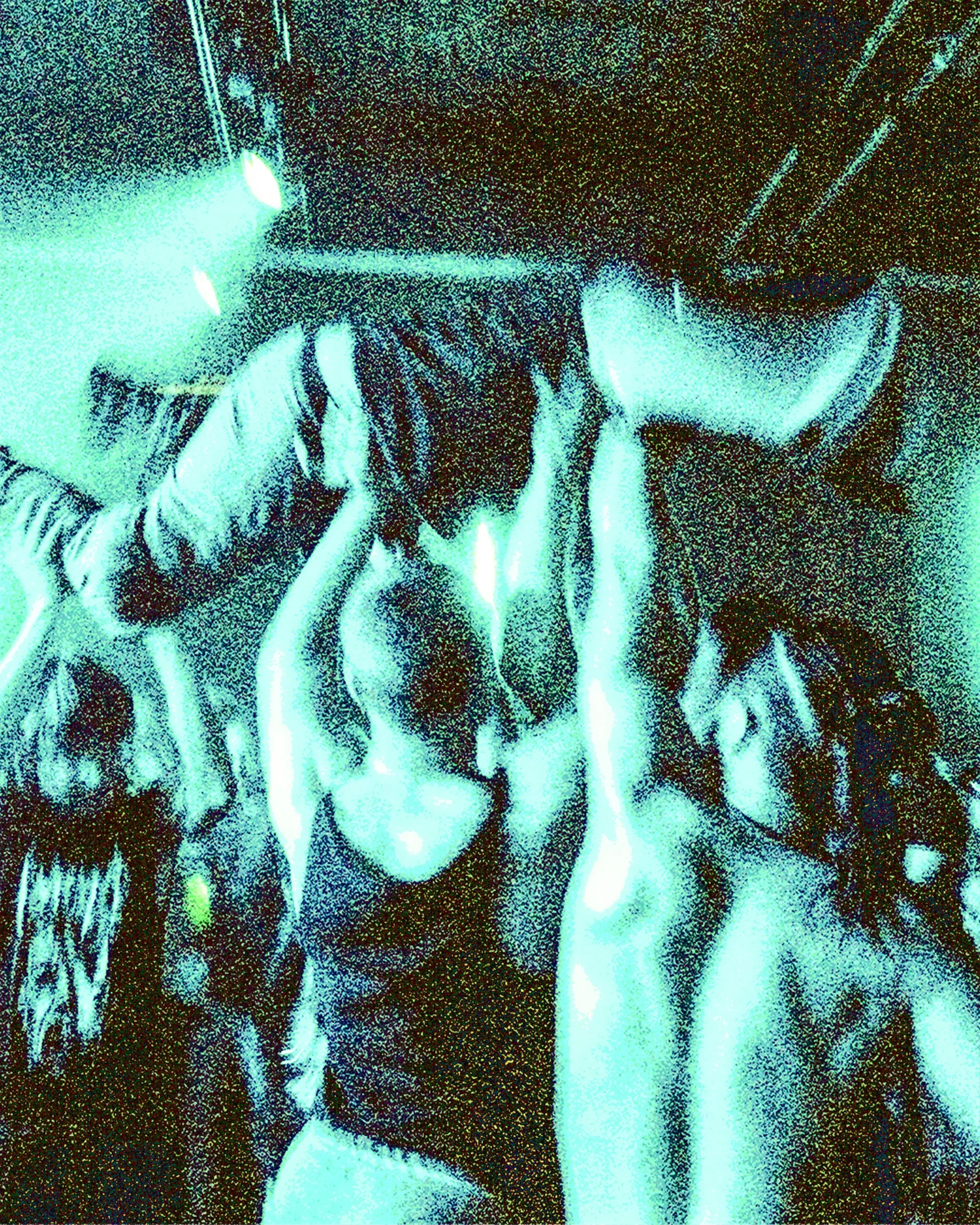 "Våld" 3, fotograafia. 2025.