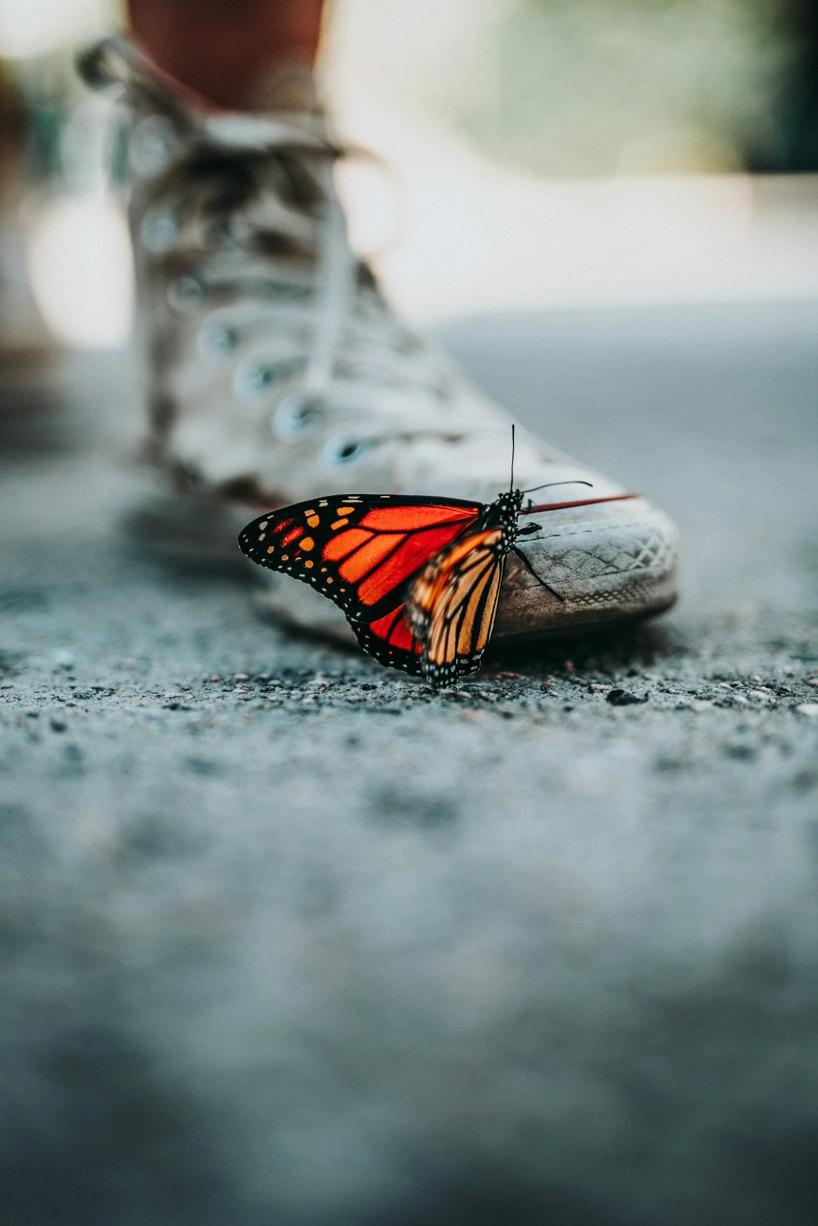 Moving to a new city, Starting a new job, Entering a new phase of of life? Learn more from Expert Anxiety Therapists at Rezak Therapy in Pasadena, CA | 91105