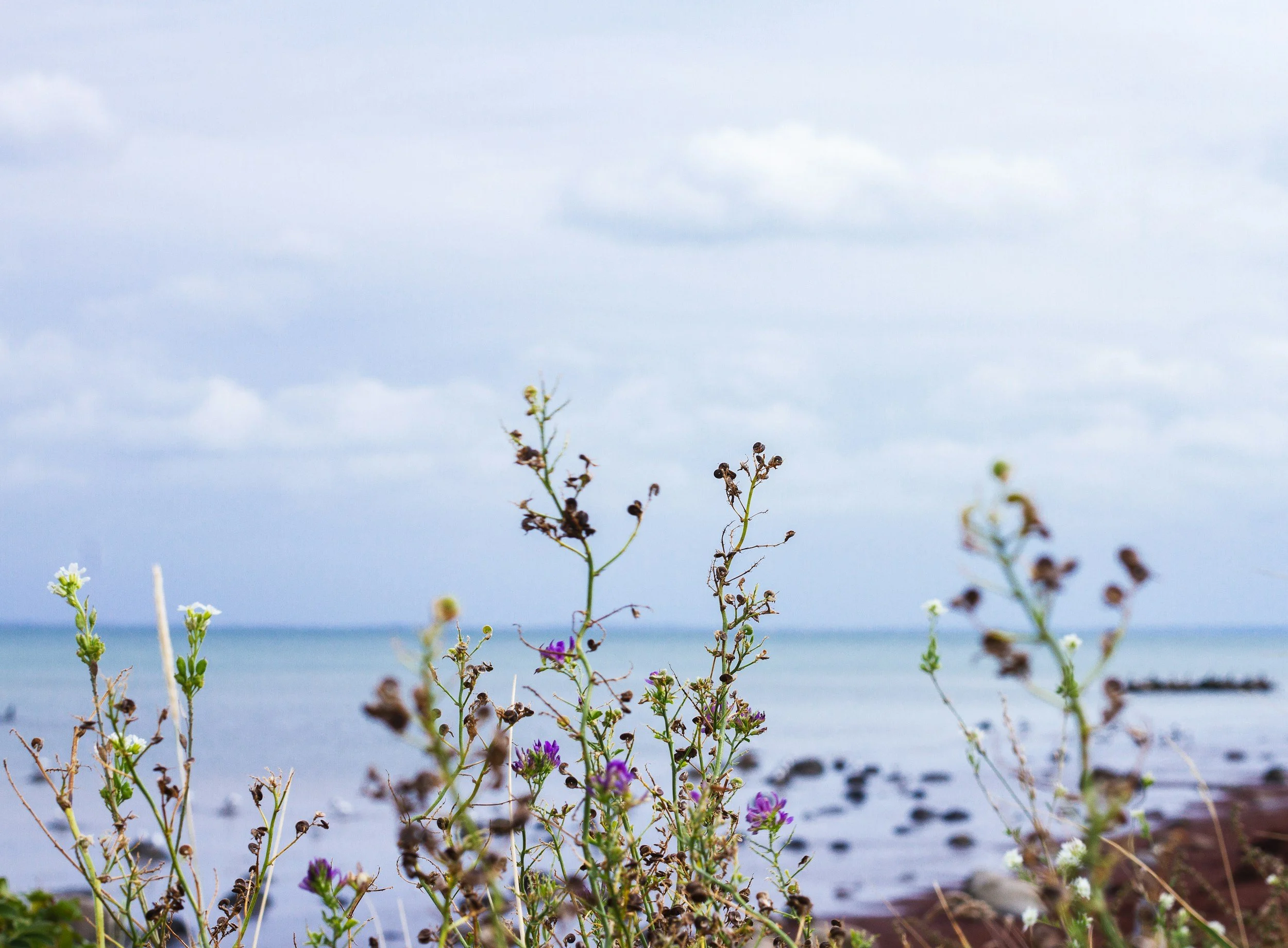 Our Pasadena anxiety therapists are available for a free 15-minute phone consultation to help you find resources that best fit your needs. We invite you to reach out and schedule a consultation with us today.