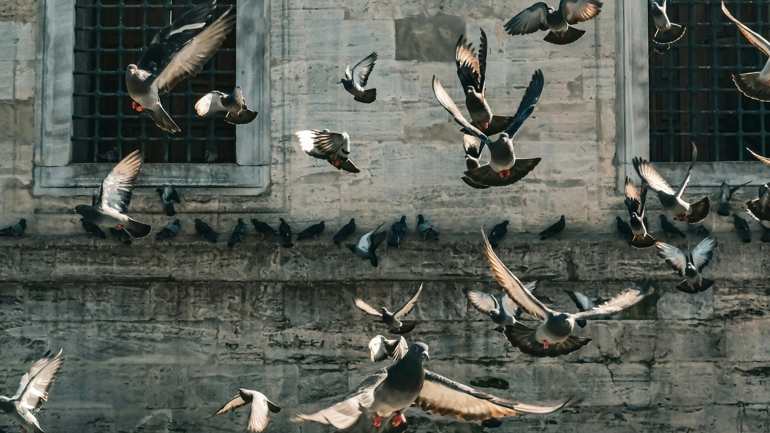 Pasadena Depth Psychotherapist for Mood Swings | Rezak Therapy | 91103