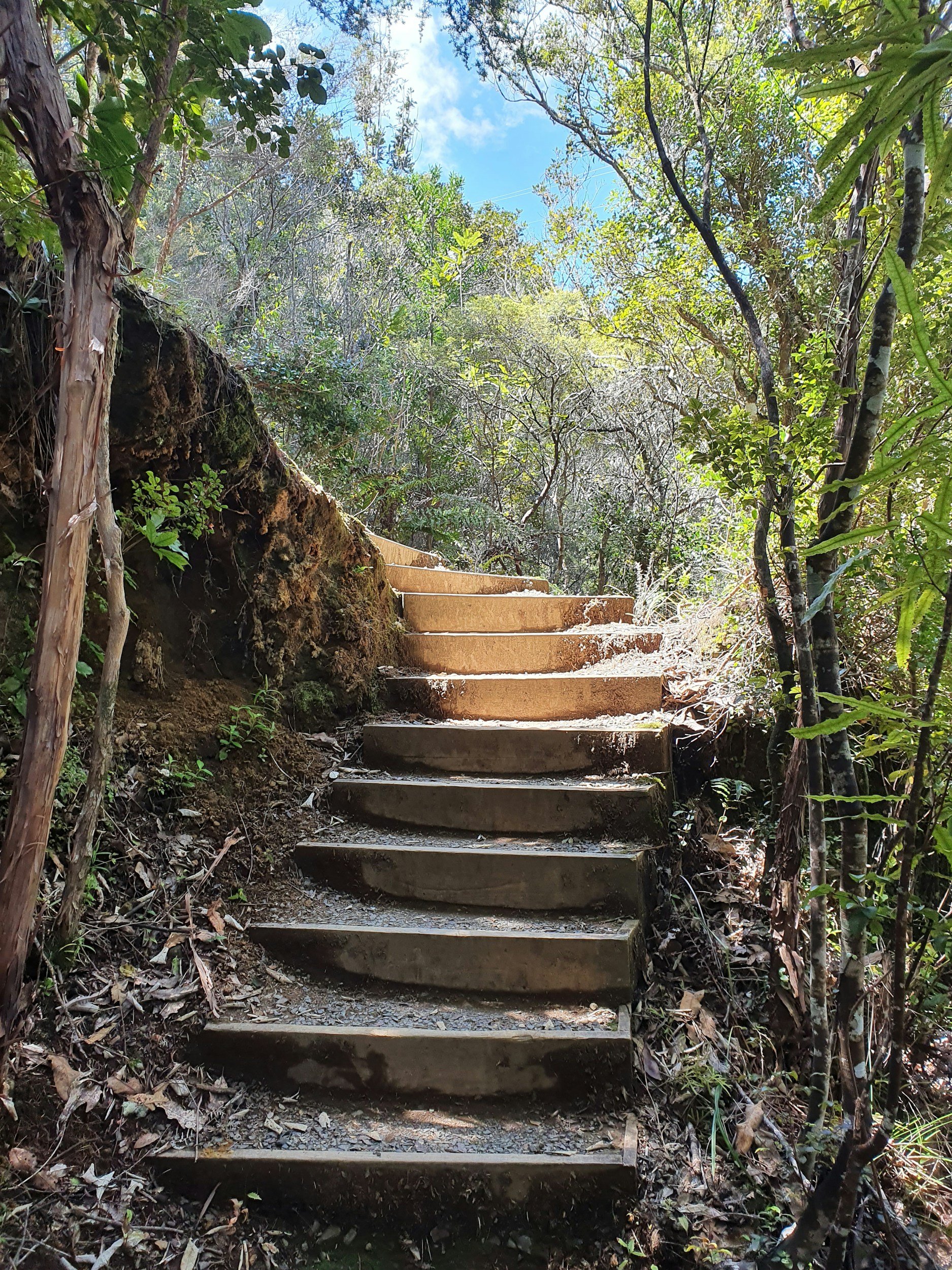 The Artist's Way Workshop | Holistic Therapist near me | Pasadena Therapist | 91104
