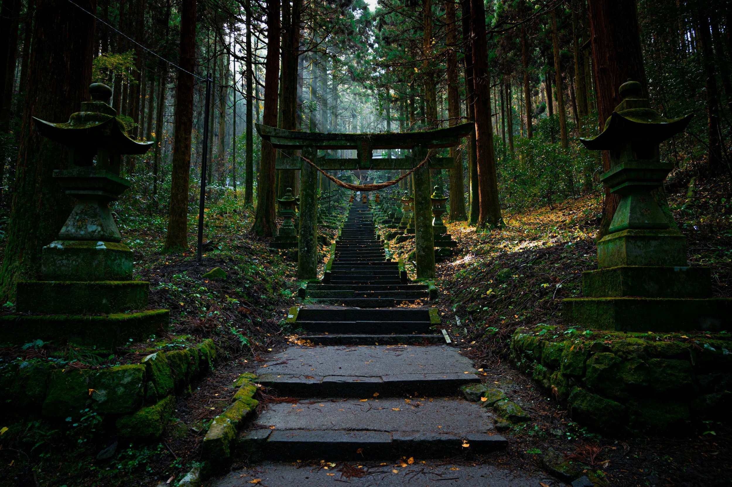 Holistic Psychotherapy: Why True Healing Requires Mind, Body, and Spirit