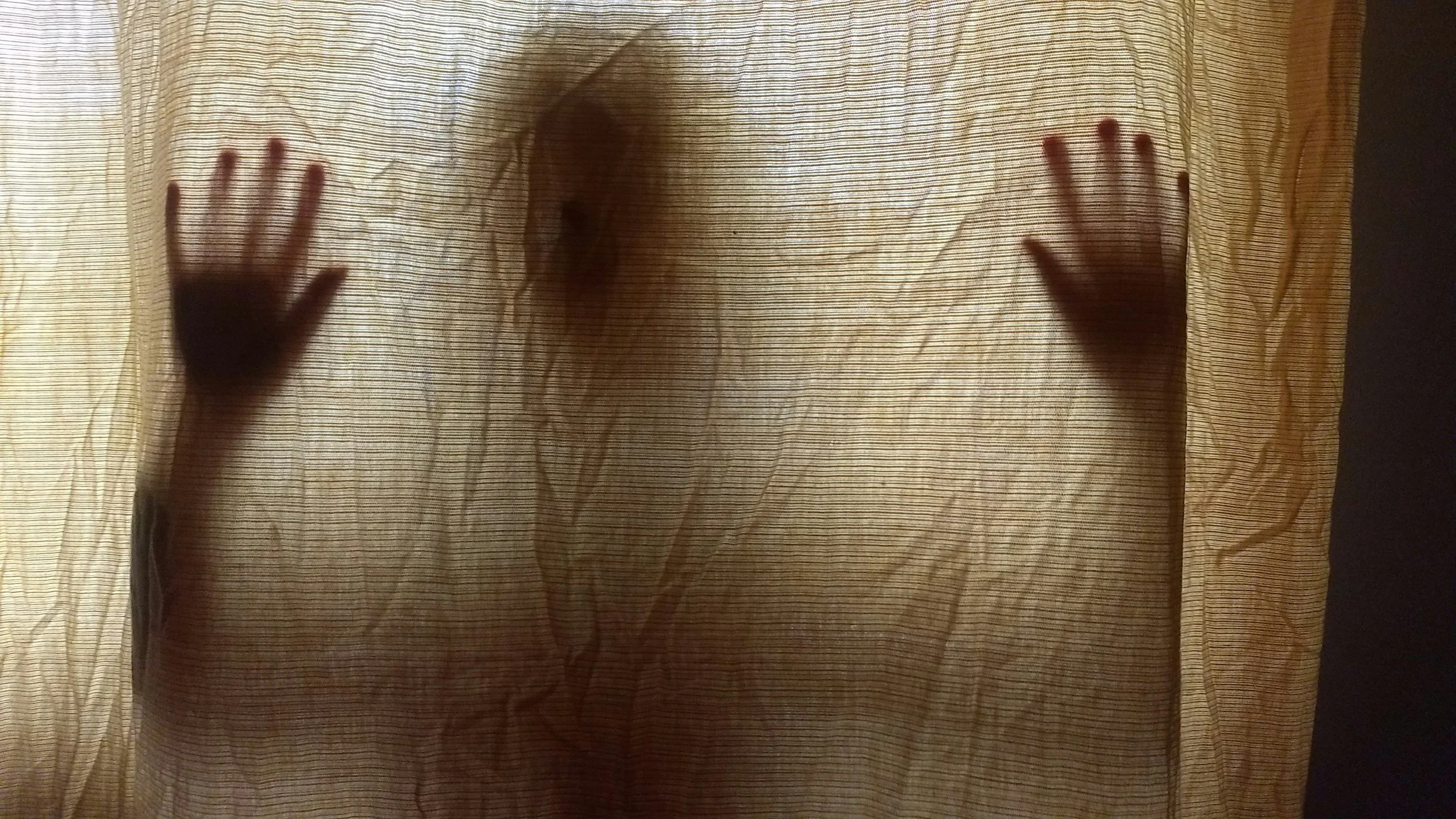 Healing from Carried Shame | Depth Therapy for Anxiety | Pasadena Depth Therapist