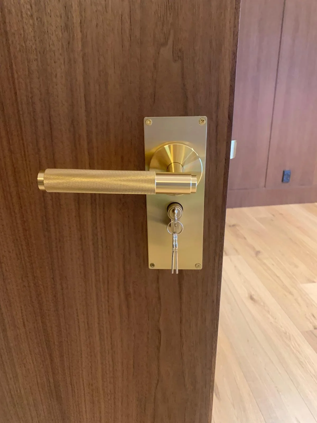 Brass handle on plate.jpg