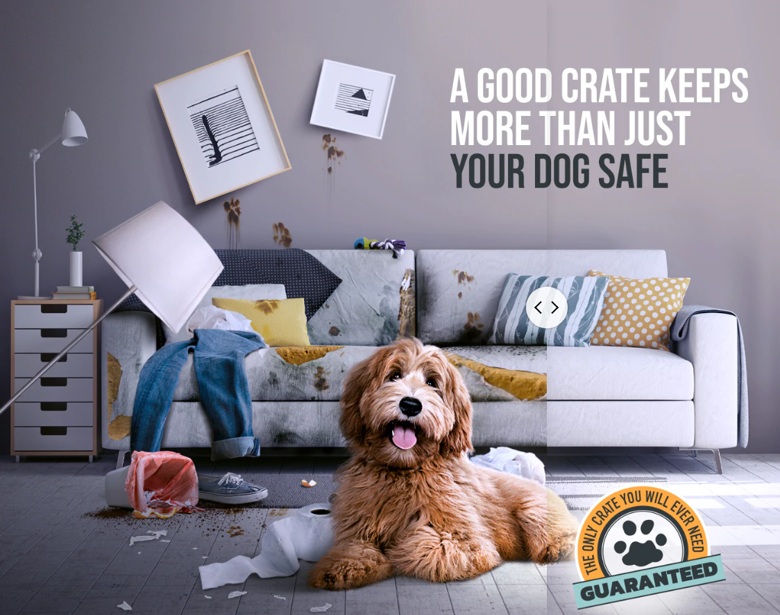 Impact Dog Crates.png