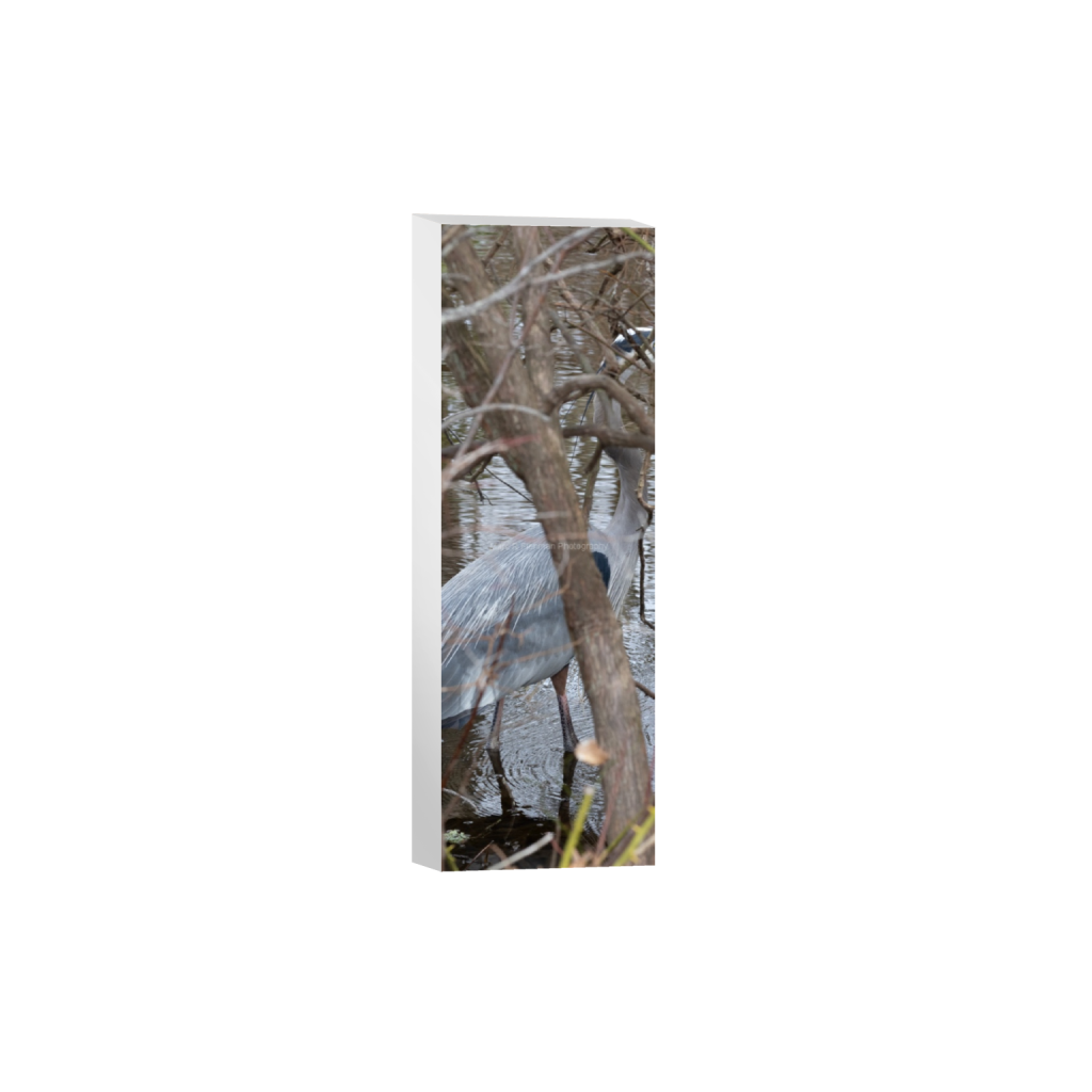 ptq_7_2_1122_0_1621_4865_0_false_ffffff_0_0_4d17f7ae8a57b5c5c3544576e309bad1.png