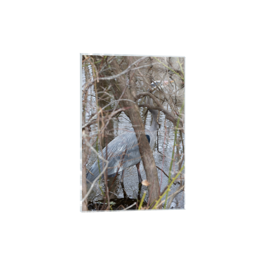 ptq_17_3_311_0_3243_4865_0_false_ffffff_0_0_4d17f7ae8a57b5c5c3544576e309bad1.png
