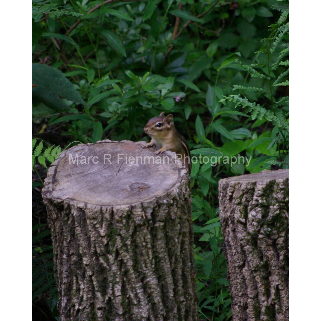 image_original_4d17f7ae8a57b5c5c3544576e309bad1.png