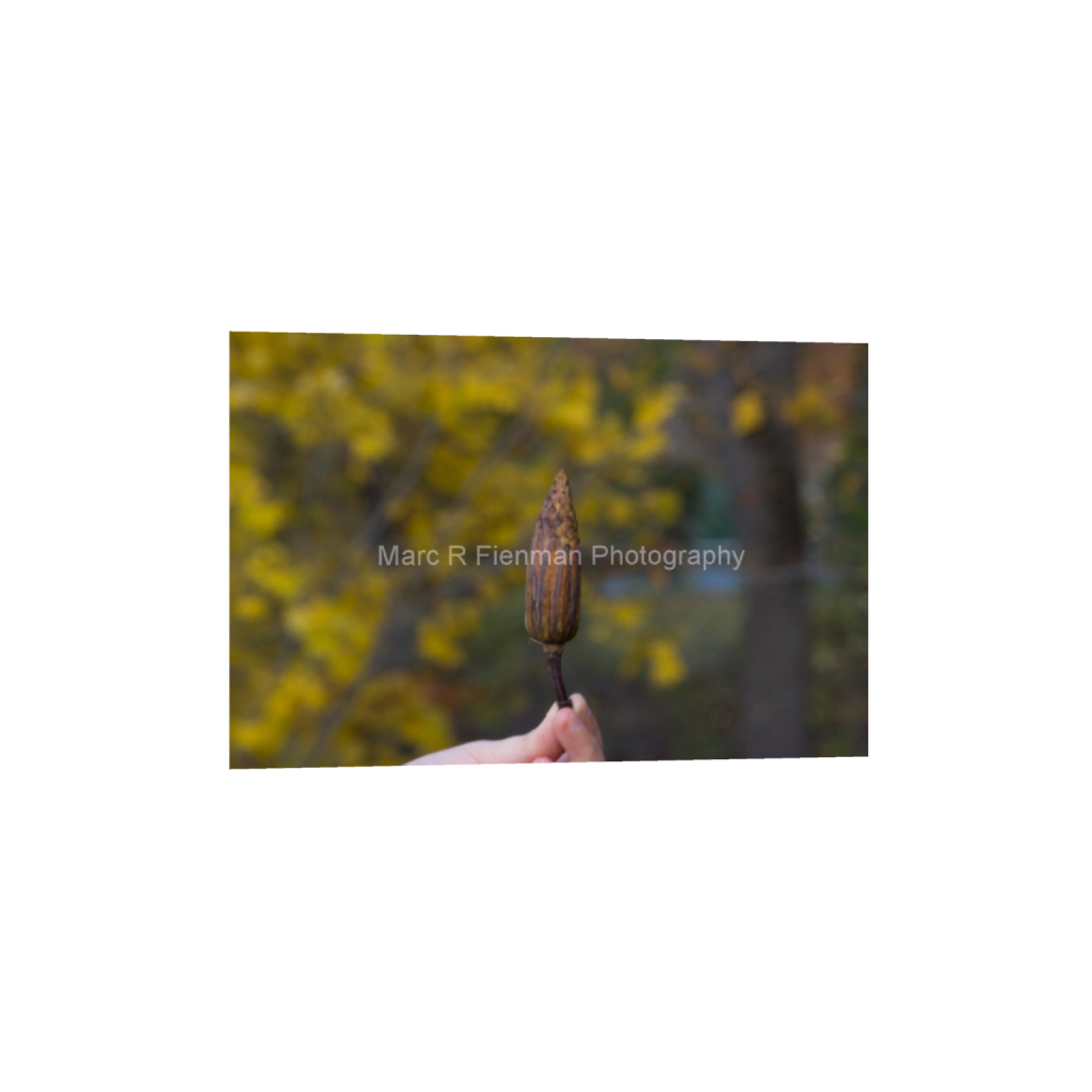 ptq_1_3_0_5_3872_2581_0_false_ffffff_0_0_4d17f7ae8a57b5c5c3544576e309bad1.png
