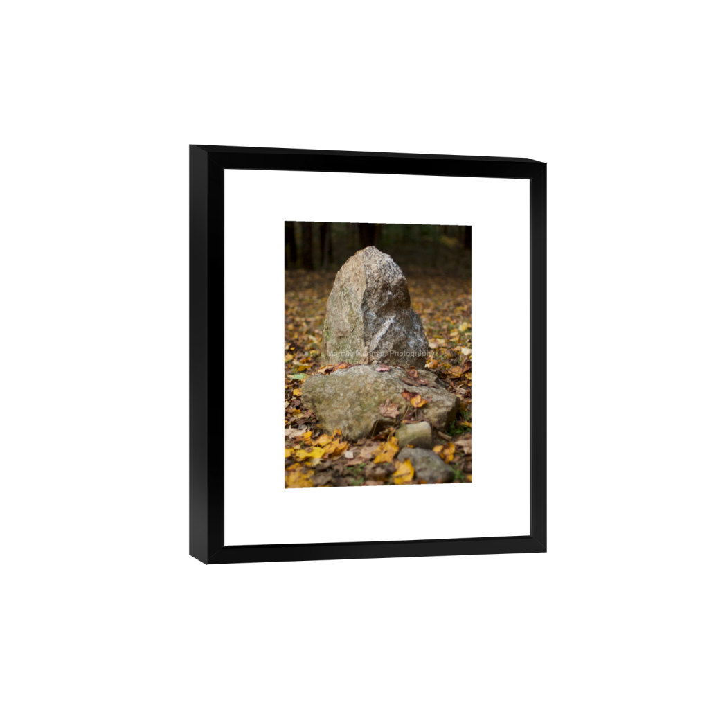 ptq_45_7_0_121_2592_3628_0_false_ffffff_0_0_4d17f7ae8a57b5c5c3544576e309bad1.png