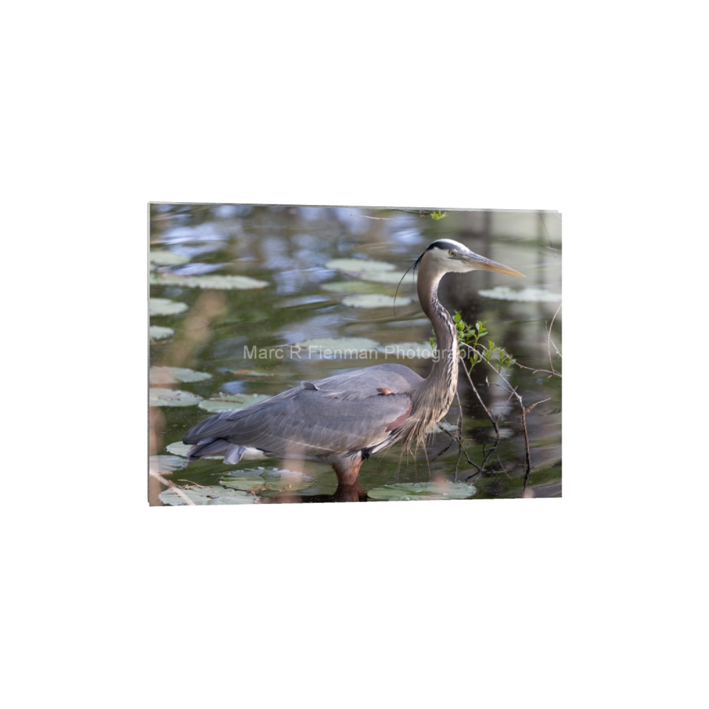 ptq_13_7_0_222_6243_4459_0_false_ffffff_0_0_4d17f7ae8a57b5c5c3544576e309bad1.png