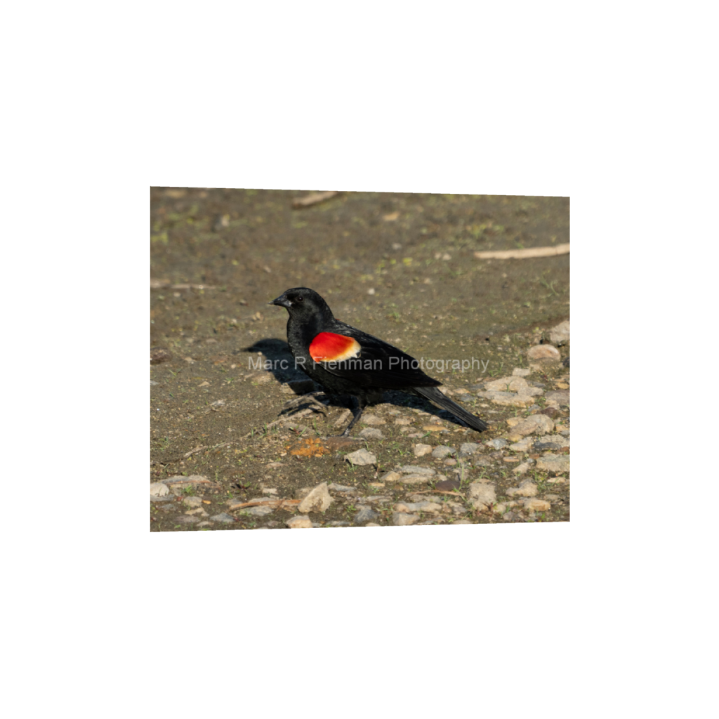 ptq_1_6_280_0_2801_2241_0_false_ffffff_0_0_4d17f7ae8a57b5c5c3544576e309bad1.png