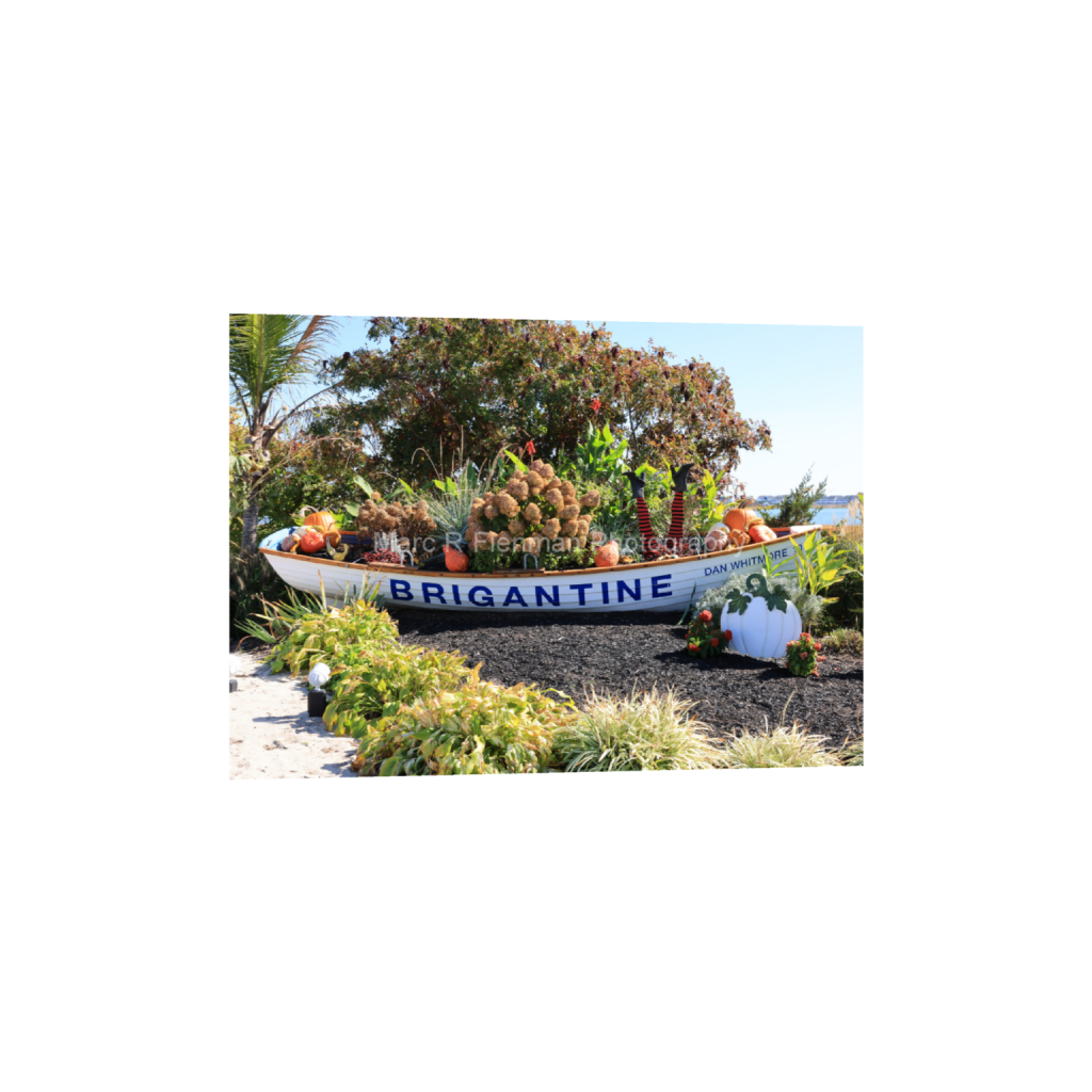 ptq_1_7_271_0_7649_5464_0_false_ffffff_0_0_4d17f7ae8a57b5c5c3544576e309bad1.png