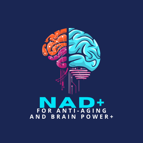 NAD + IV Therapy