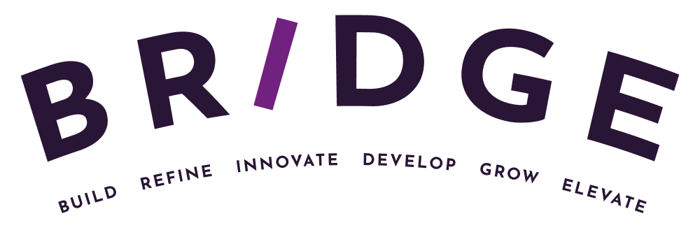 Bridge logo
