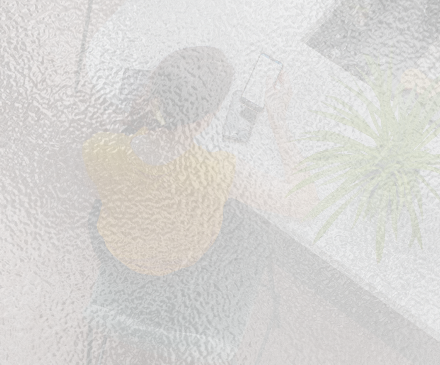 woman using cellphone reviewing upcoming business program details