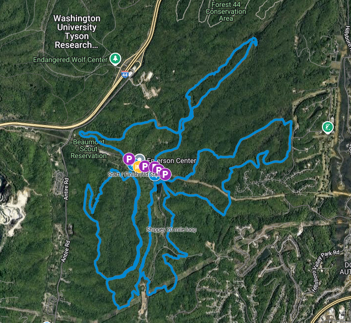 5 Quick Tips For The Shippey