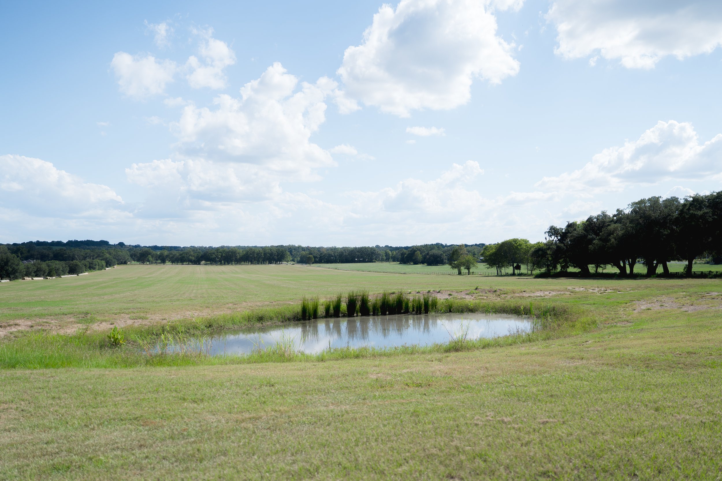 Intimate Outdoor Wedding in Central Florida
