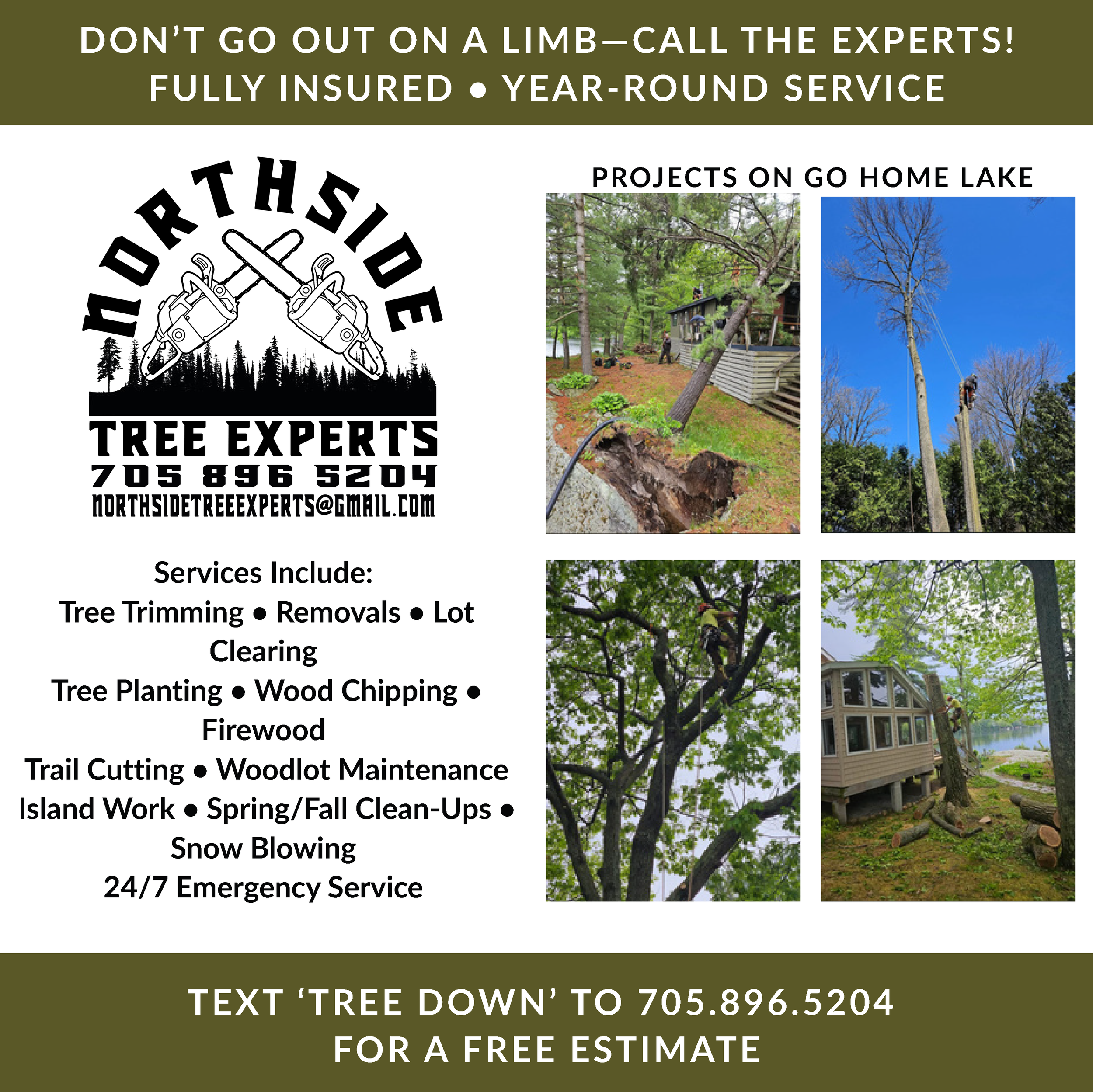 Northside Tree Experts (250 x 250 px) Banner.png