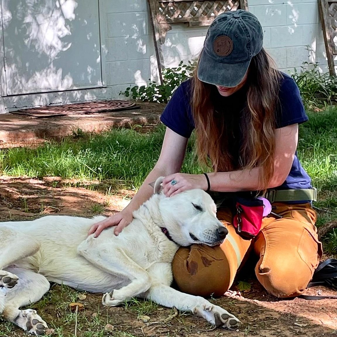 ✨️ It's such a blessing to be able to do what I do. ✨️
I love helping dogs become more balanced in their life...it helps me find balance in return. 

Lily here got some cuddles after our training session ended, and we had a nice moment where she put 