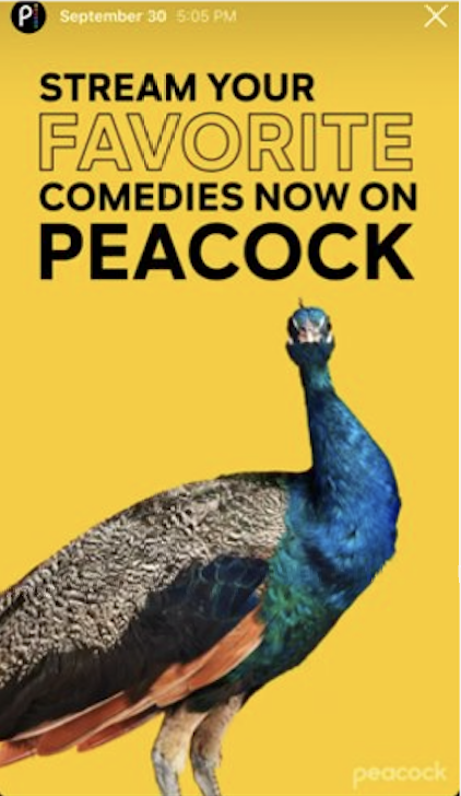 Screenshot 2024-03-23 at 4.58.07 PM.png