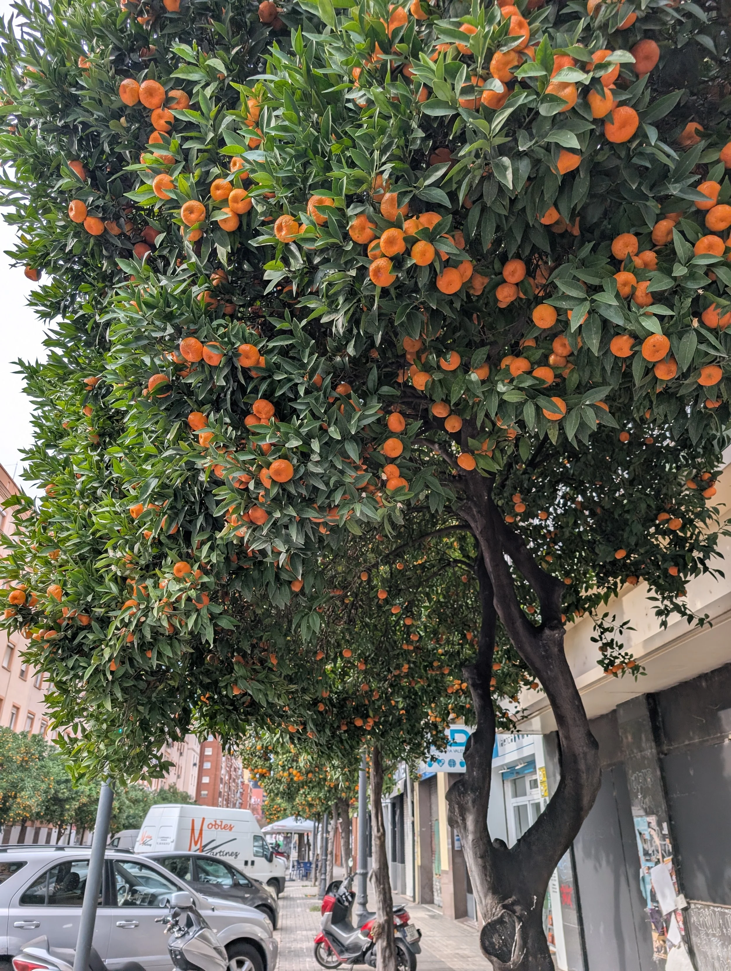 Our hearts are heavy