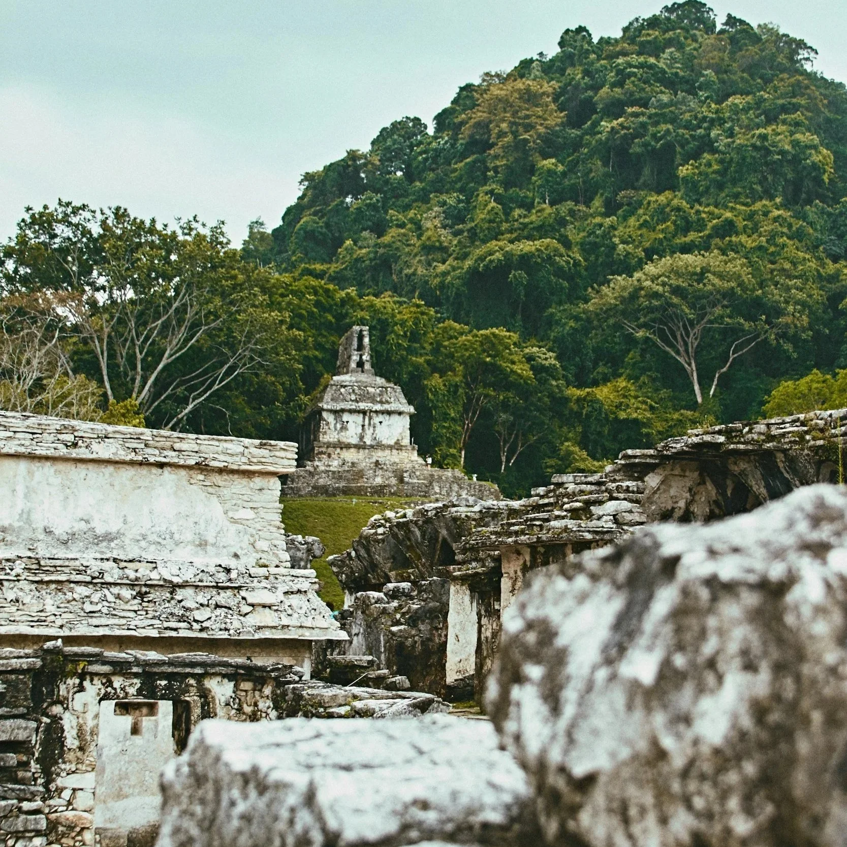 Palenque 