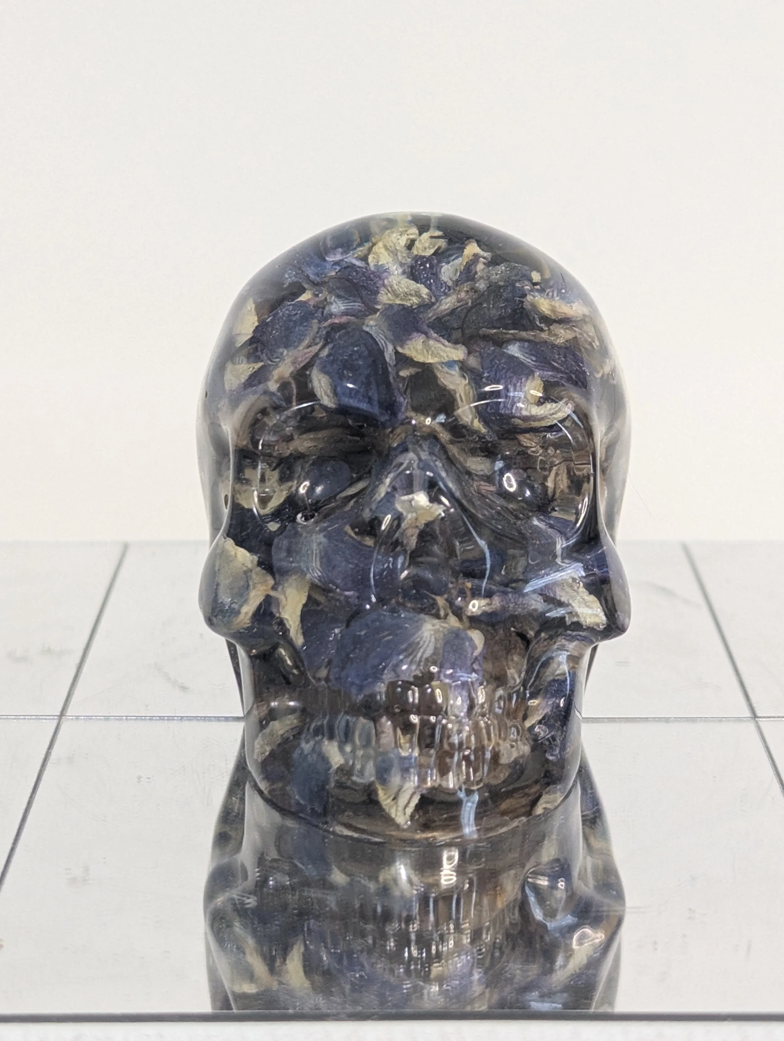 Lupine 2 Skull