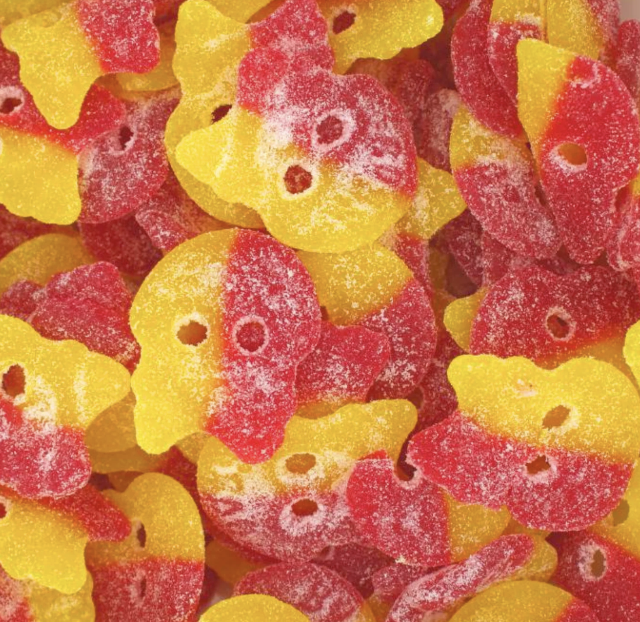 Screenshot 2026-01-03 at 8.37.24 PM.png