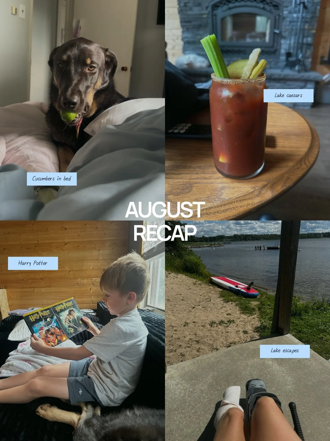 August looked a little different this year, but I&rsquo;ve been making the best of what&rsquo;s left of summer with what I&rsquo;m able to do.

Spent lots of time with Cola, who has taken it upon herself to bring various fruits and vegetables into my