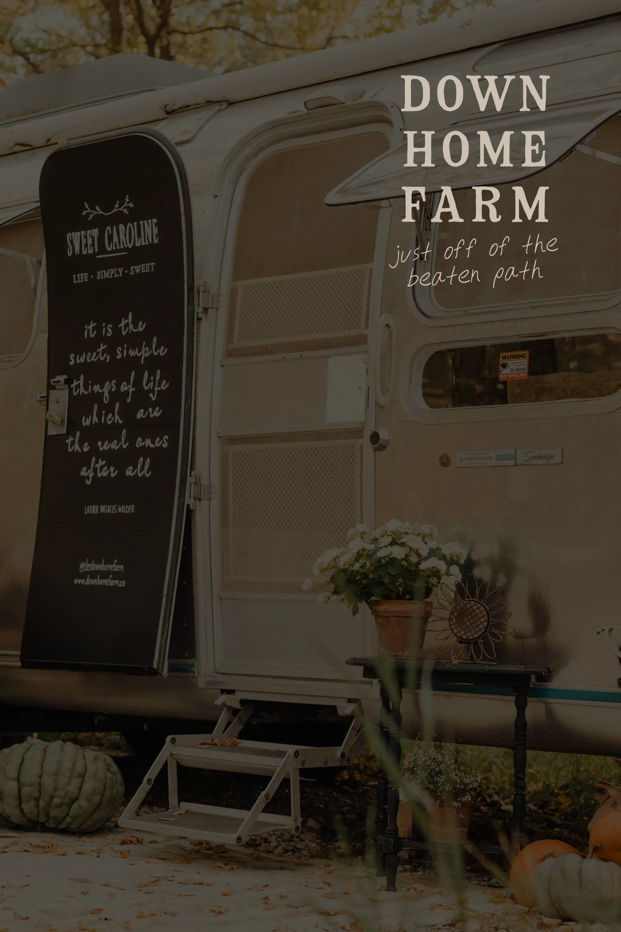 down-home-farm-branding-examples-by-carley-dupuis-design.webp