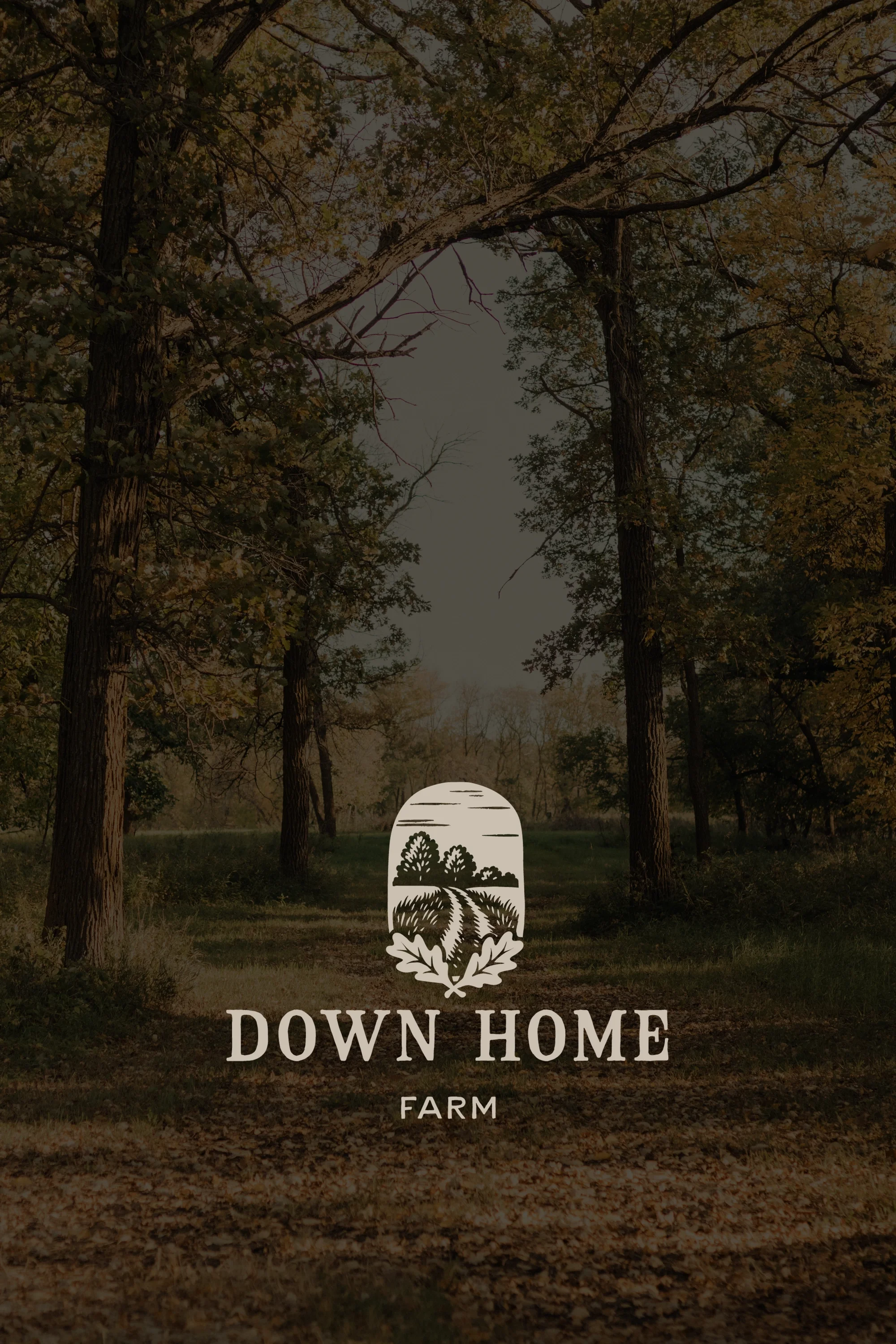 down-home-farm-branding-by-carley-dupuis-design.webp