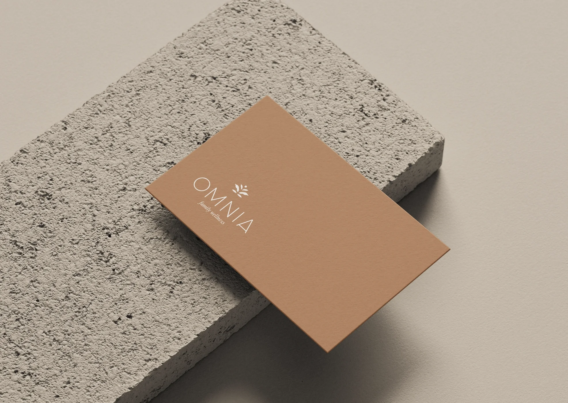 omnia-family-wellness-branding-by-carley-dupuis-desigm.webp