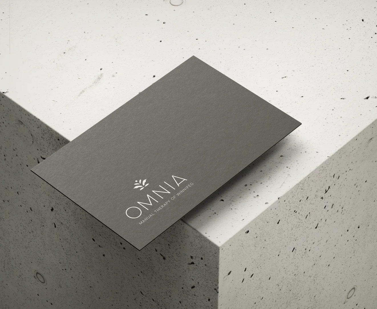omnia-manual-therapy-business-card-design-by-carley-dupuis-design.webp