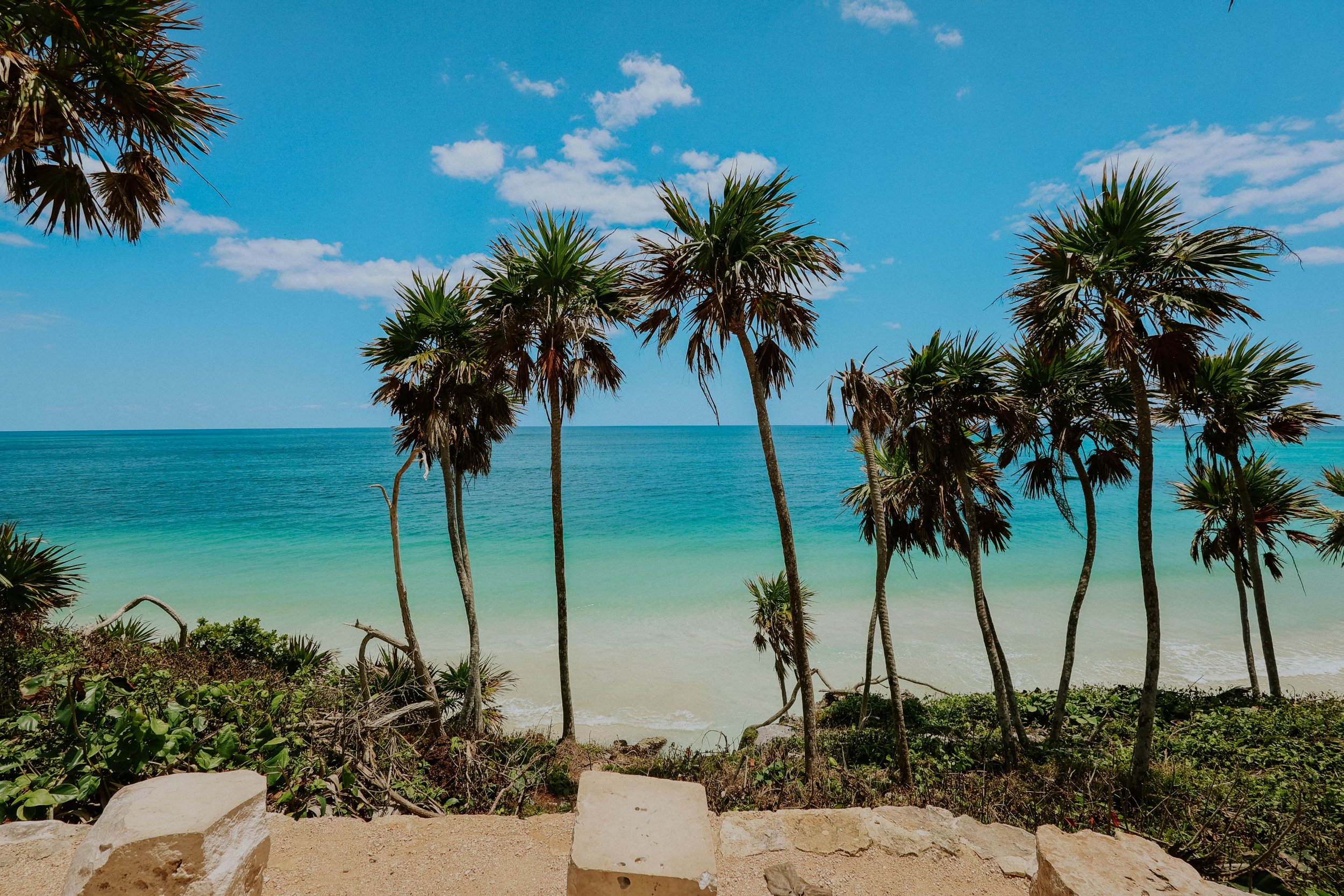 Tulum and Palm Trees