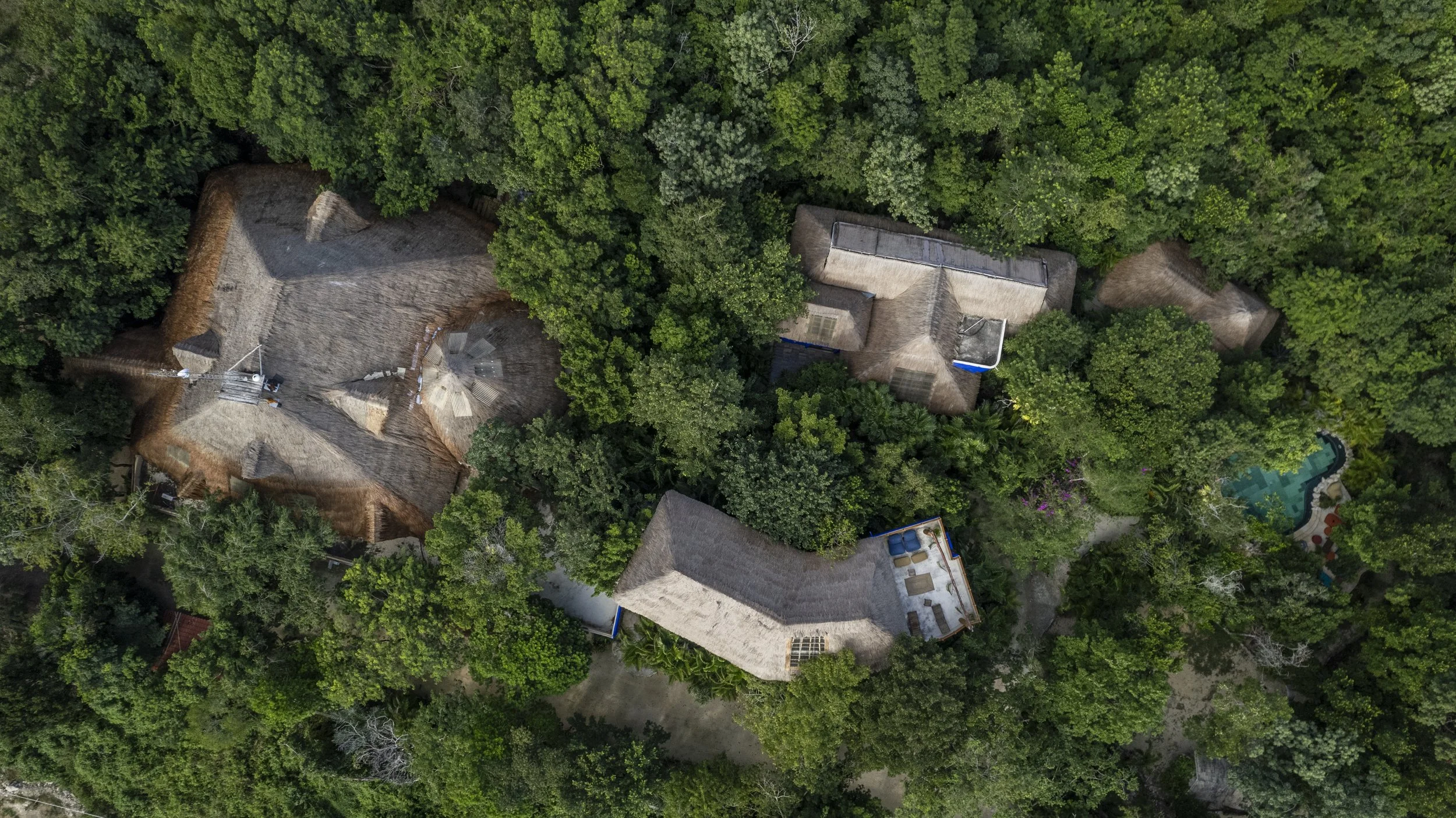 Aerial view of several thatched roof houses surrounded by dense green trees, with a swimming pool visible in the backyard.
