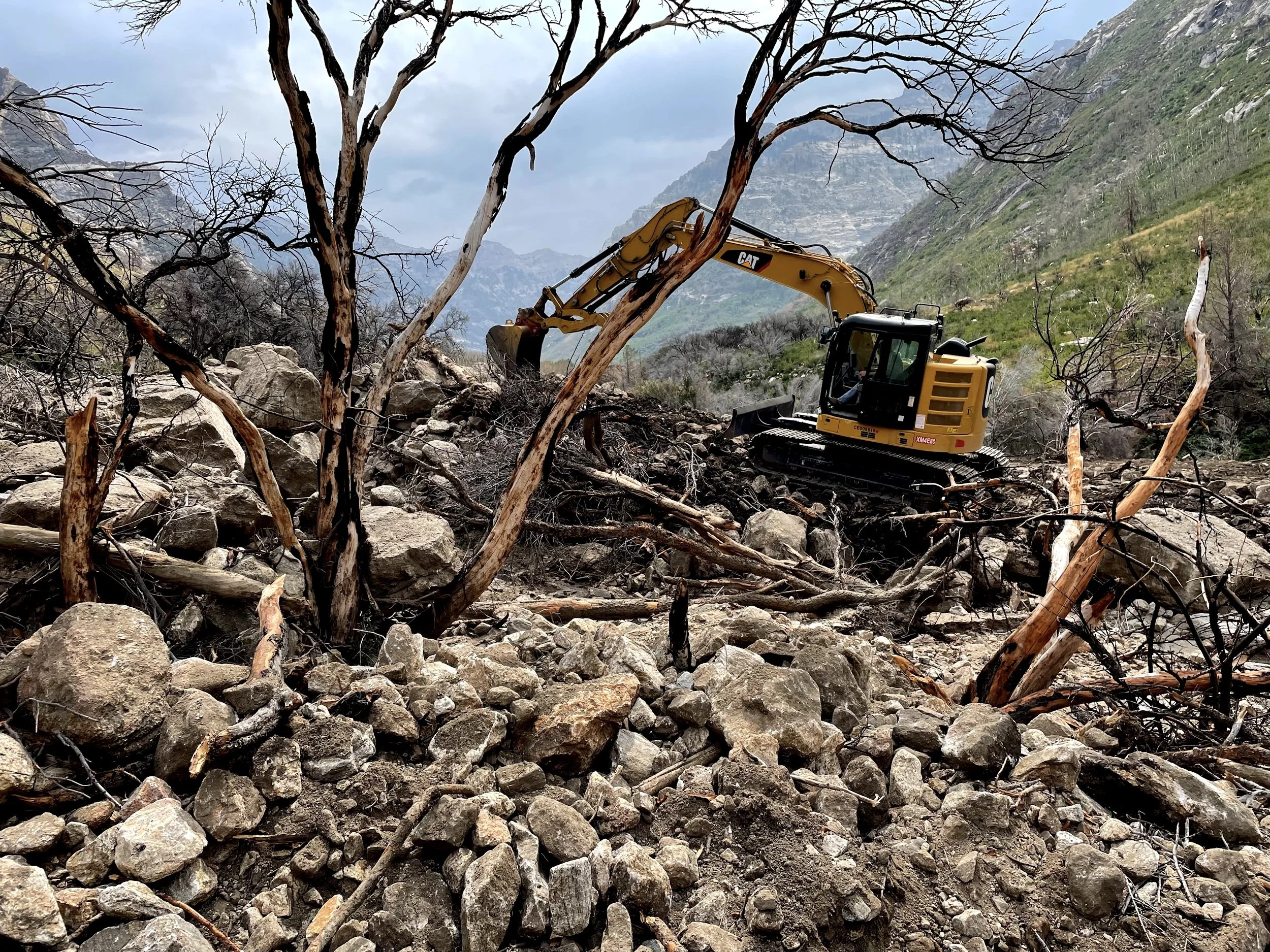 Excavator clearing rock and dead trees on a green Northern Nevada mountainside