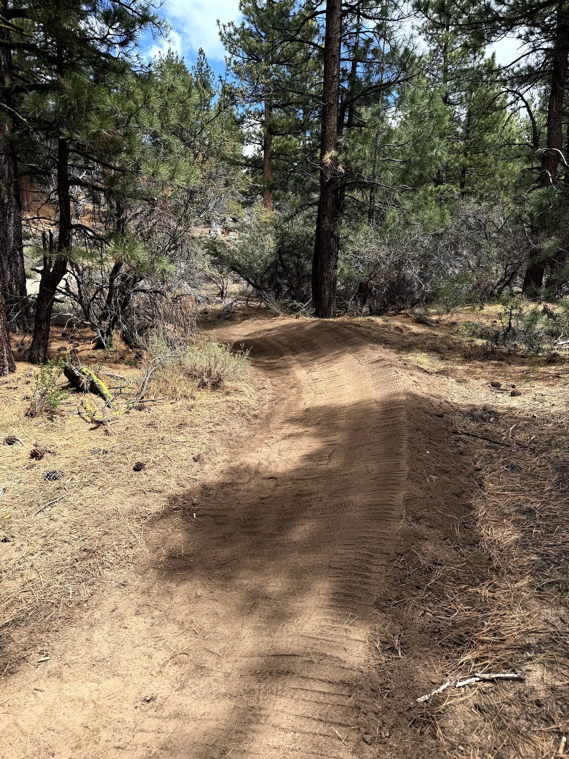 Peavine Maze Trail Maintenance &amp; New Trail Construction