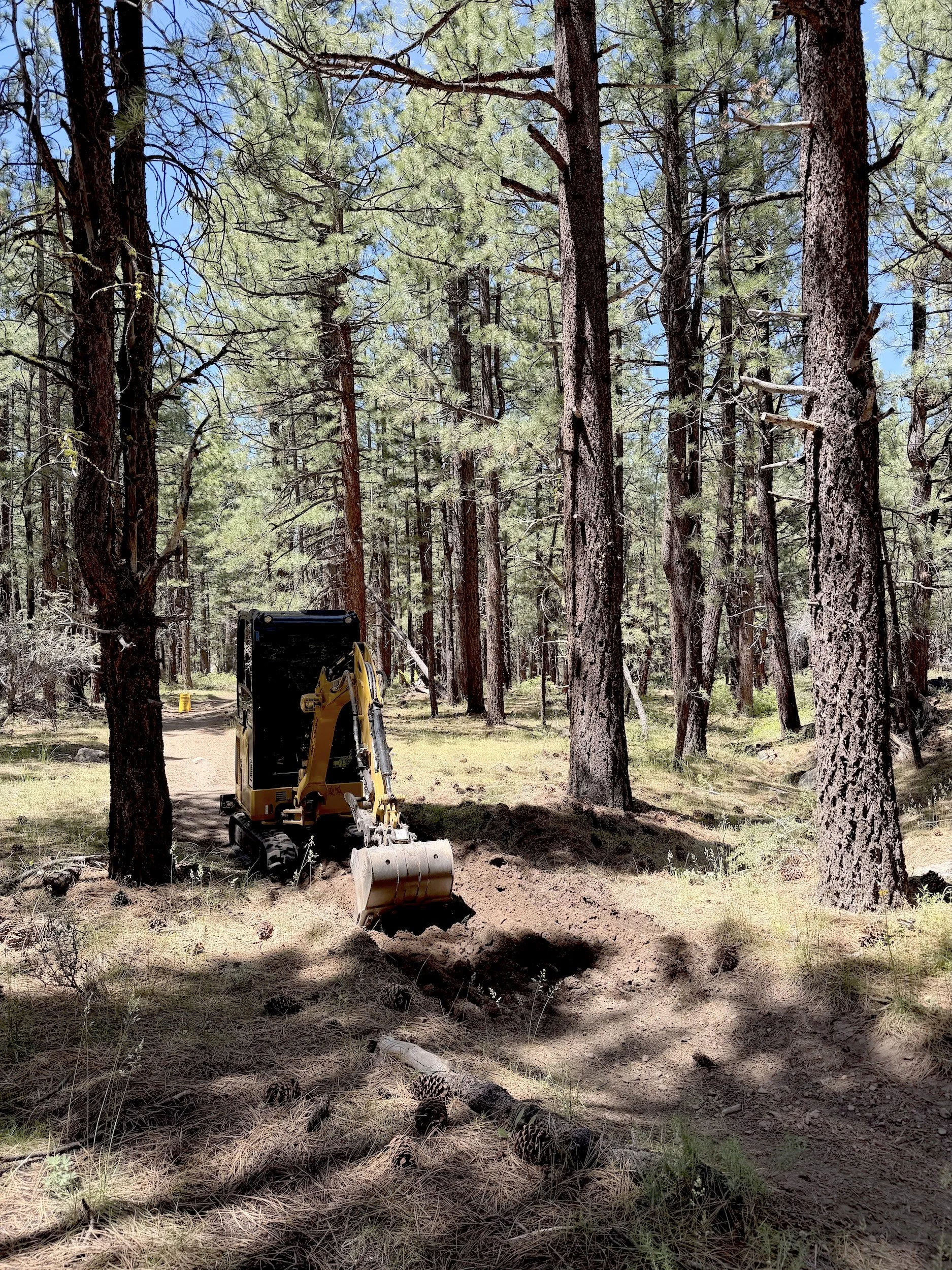  A small yellow excavator digging a hole on a forest trail surrounded by tall pine trees. 