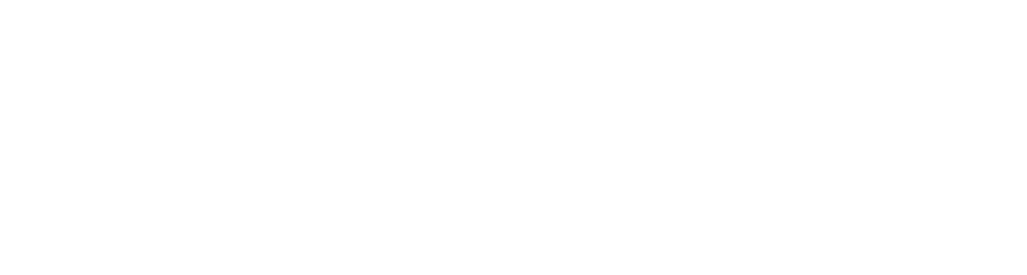 Dirt &amp; Diesel Excavation