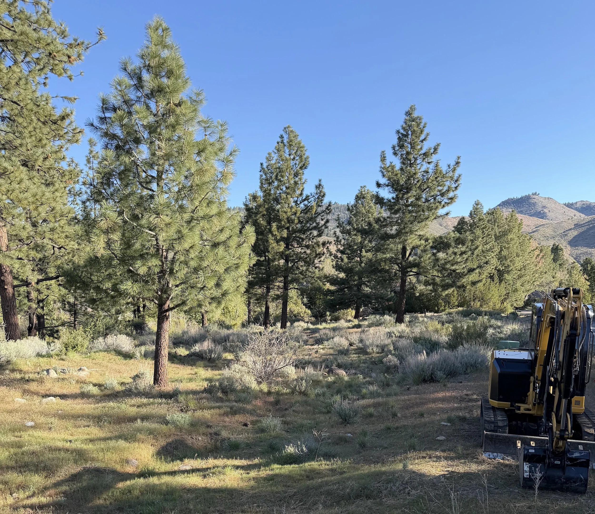 Excavator clearing a trail through wooded brush in Northern Nevada