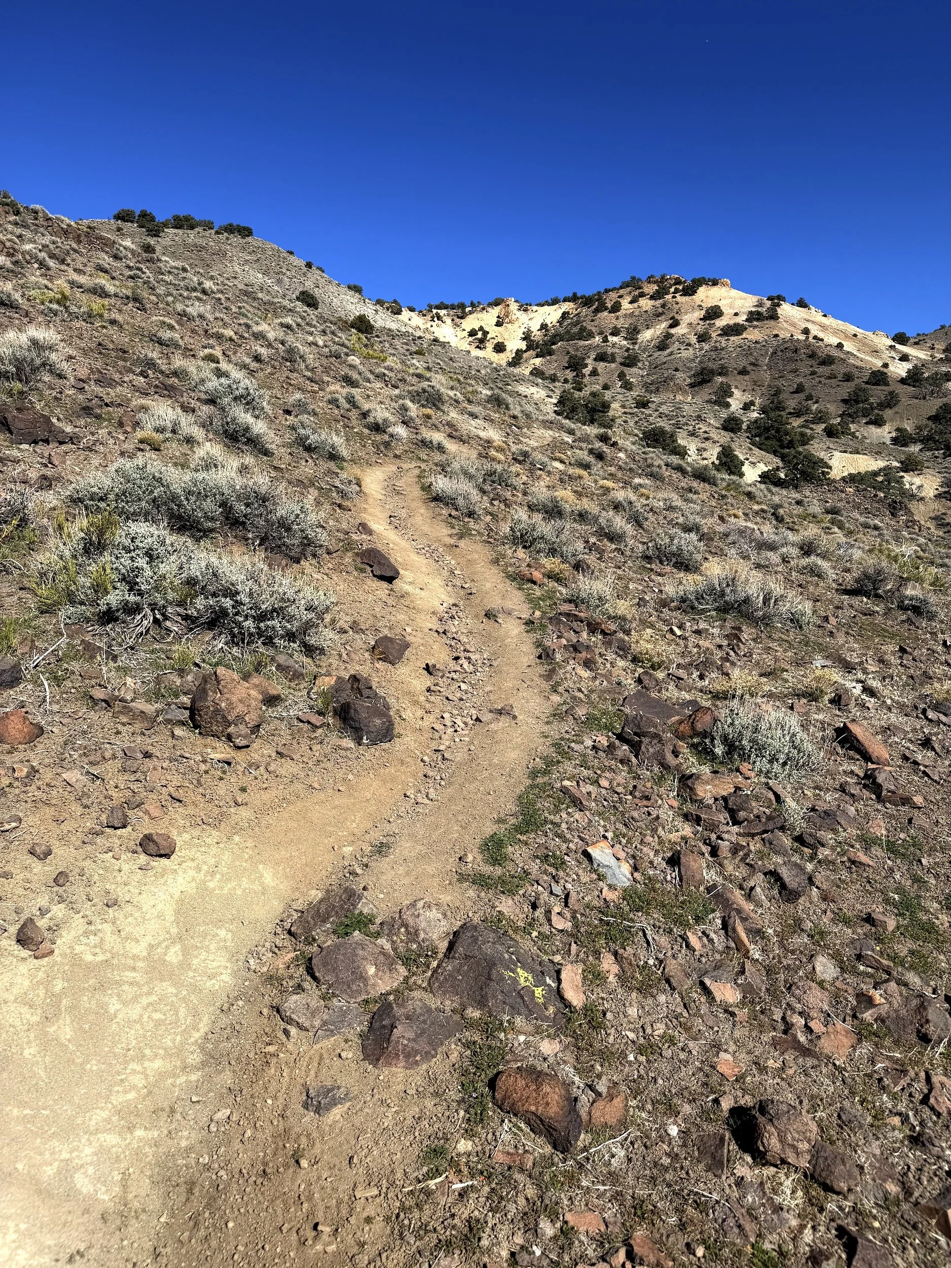  Freshly built natural surface trail winding up a rocky high desert slope under a clear blue sky. 