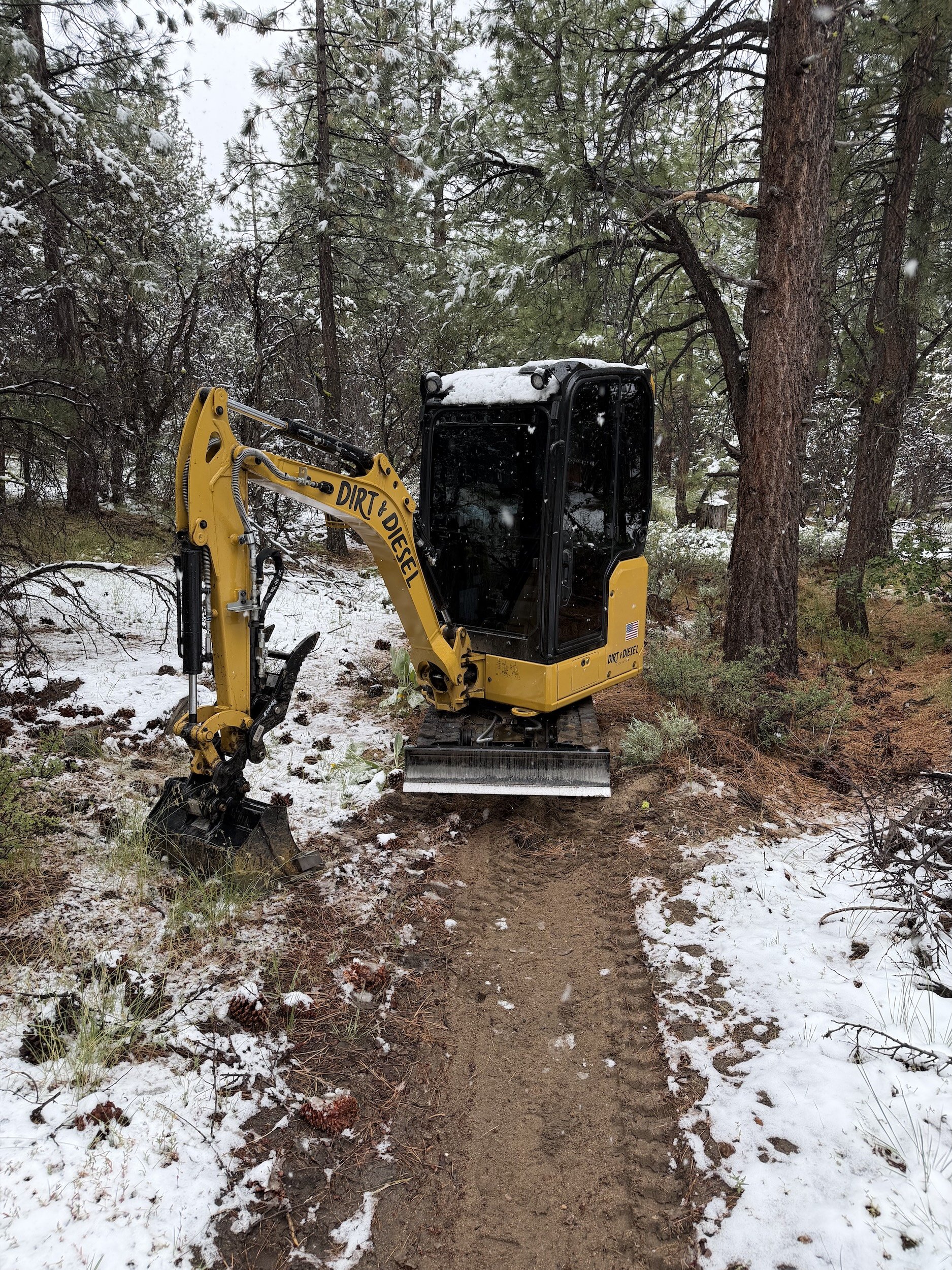  Excavator building a trail through a snowy pine forest 