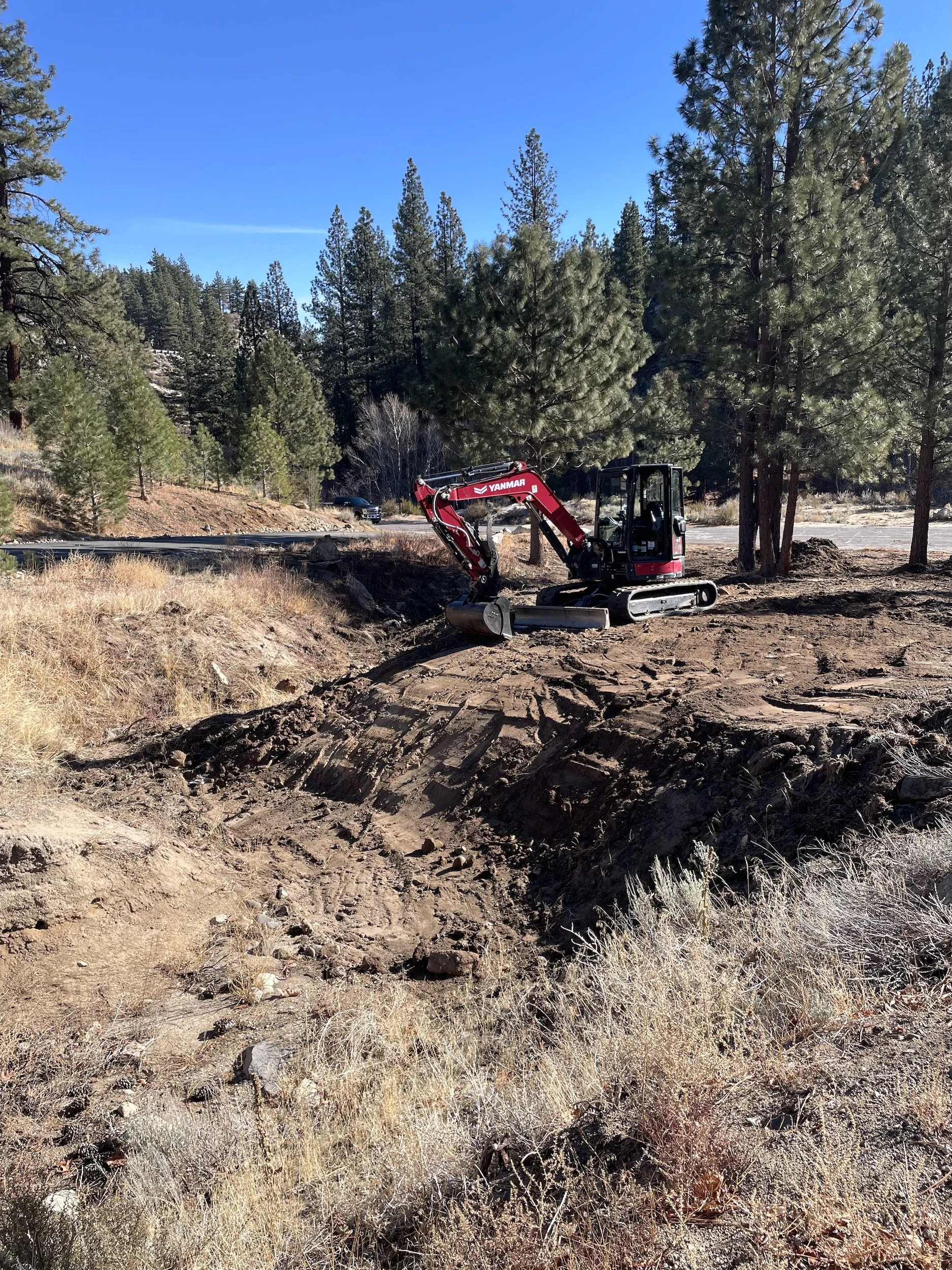 Compact excavator clearing a rocky slope of brush and pines