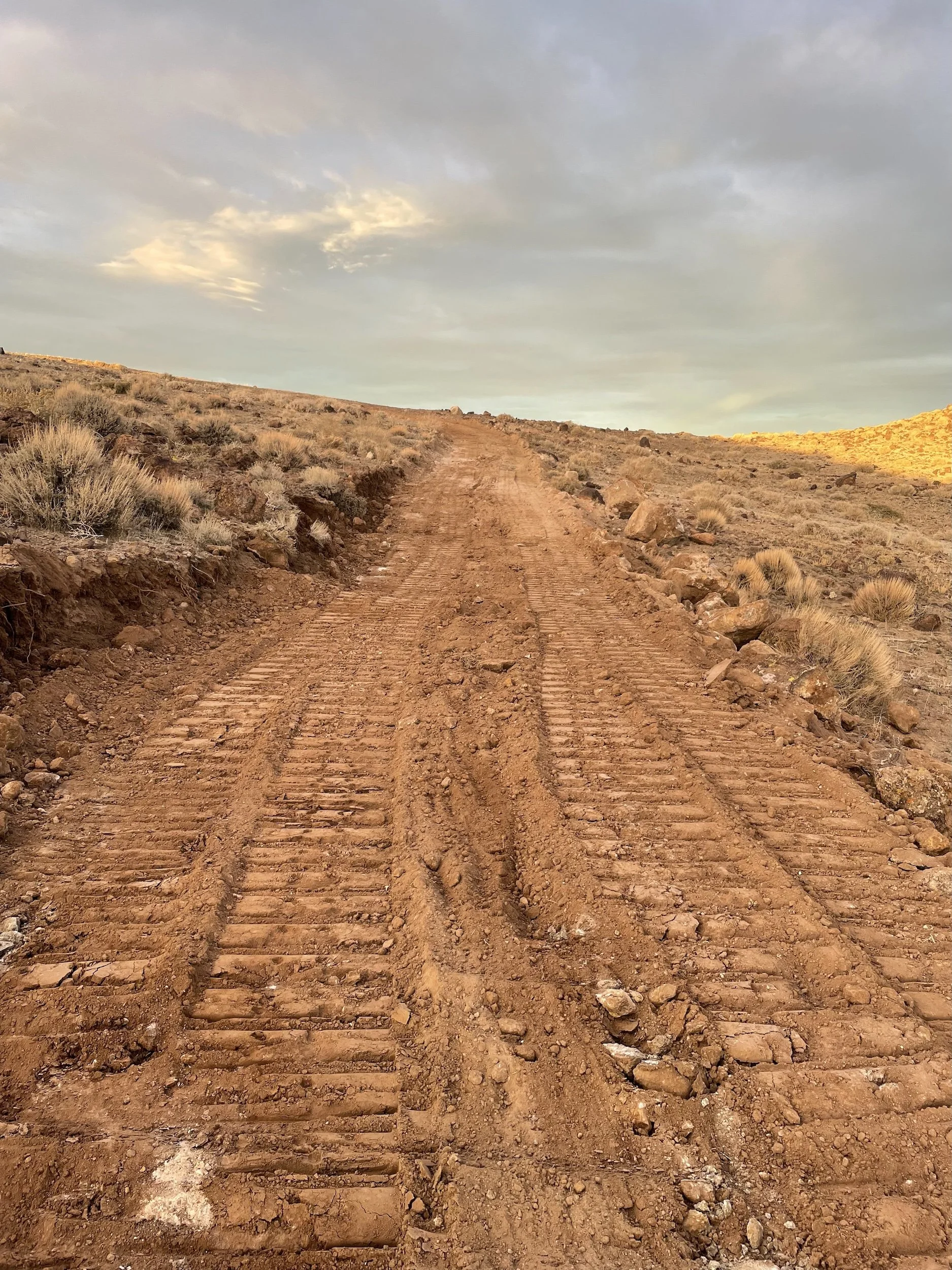 Rutted dirt road through desert sagebrush at sunset in Northern Nevada