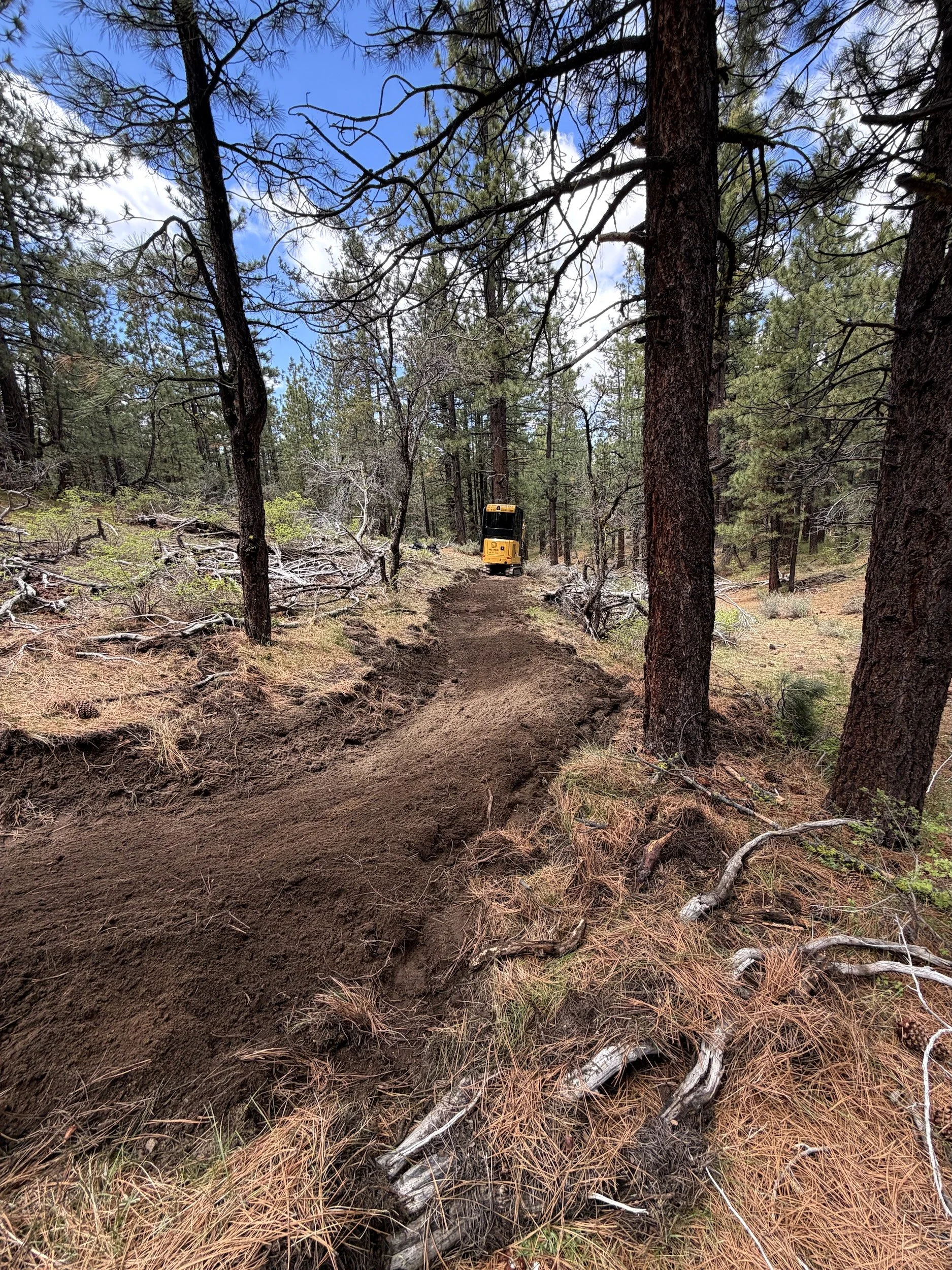 Excavator building a natural surface trail through a Northern Nevada pine forest