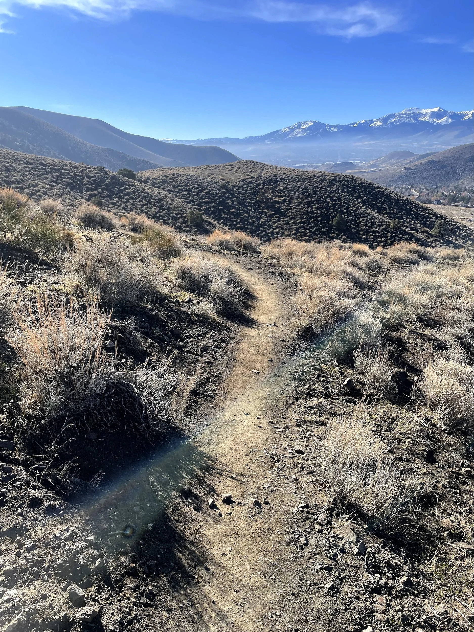 Natural surface trail descending a hillside toward snow-capped mountains